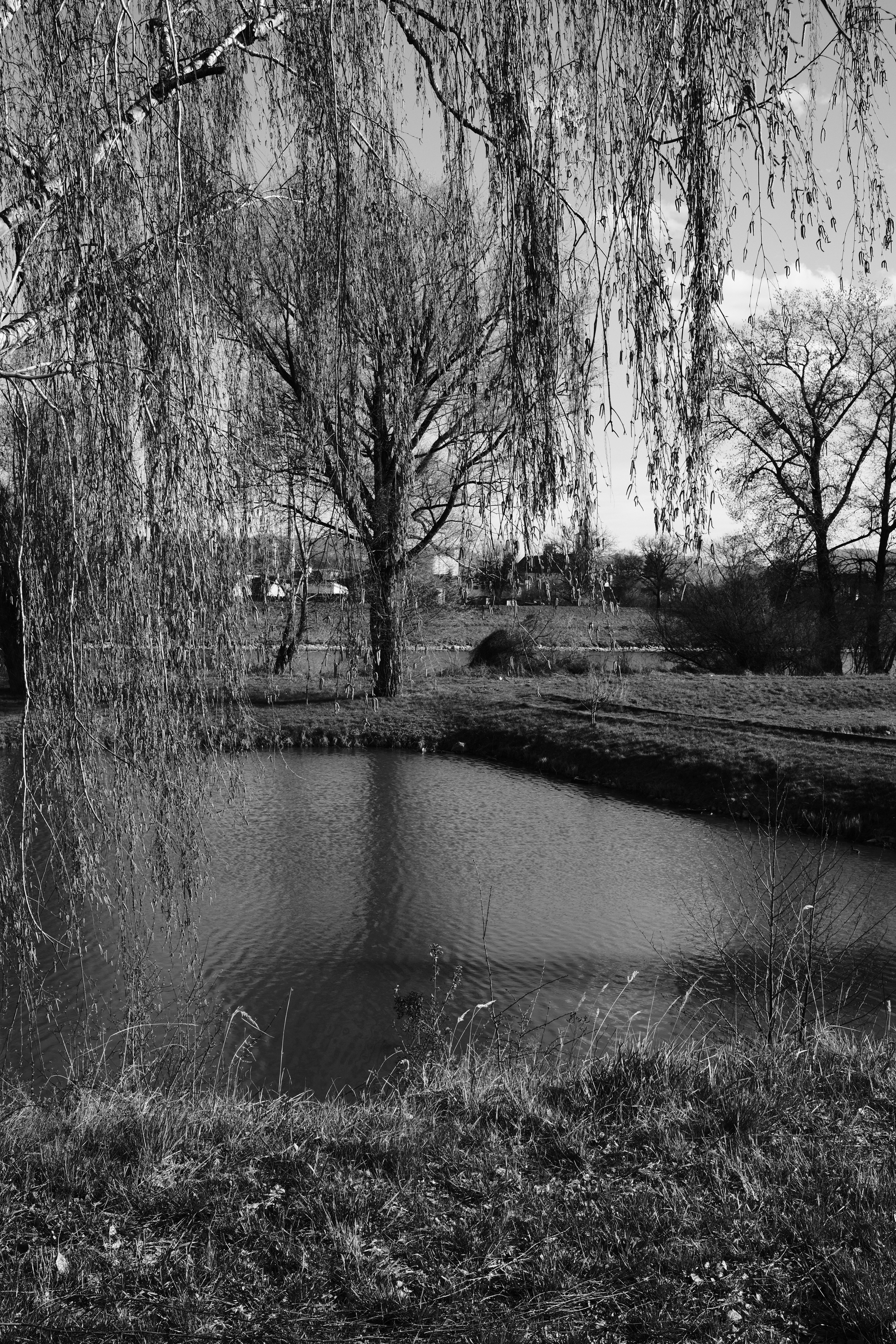 Photo by branislavrodman