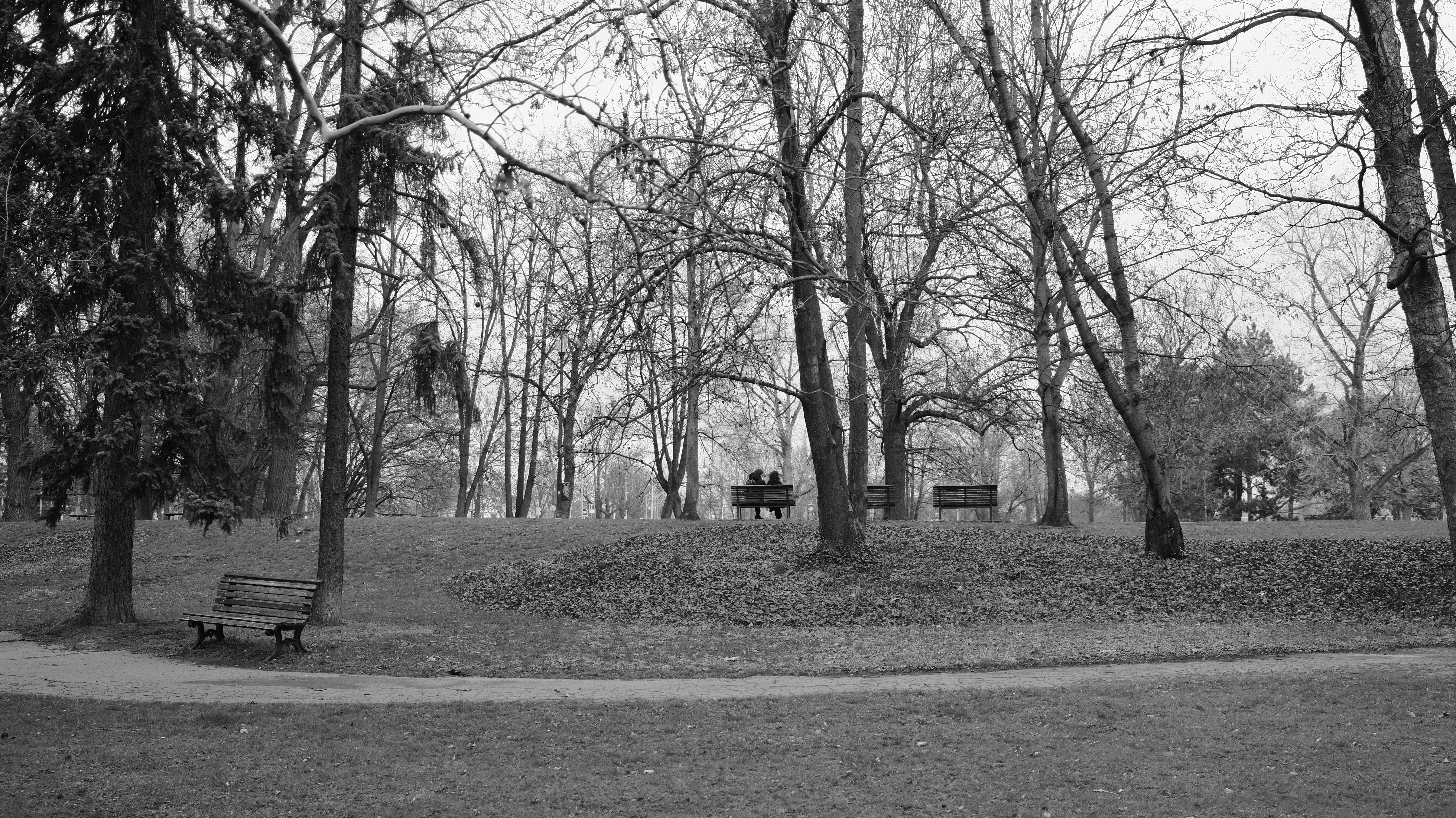 Photo by branislavrodman