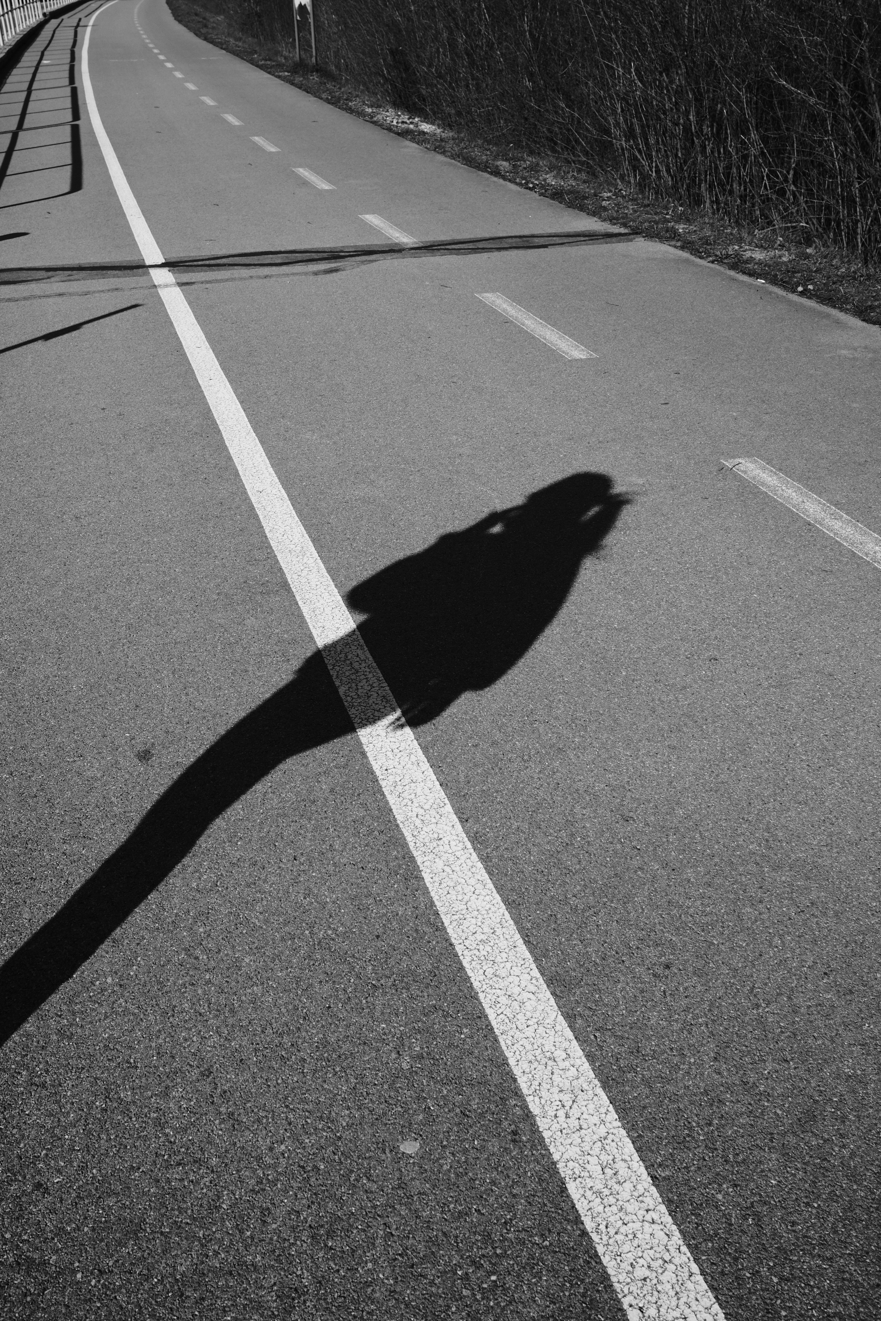 Photo by branislavrodman