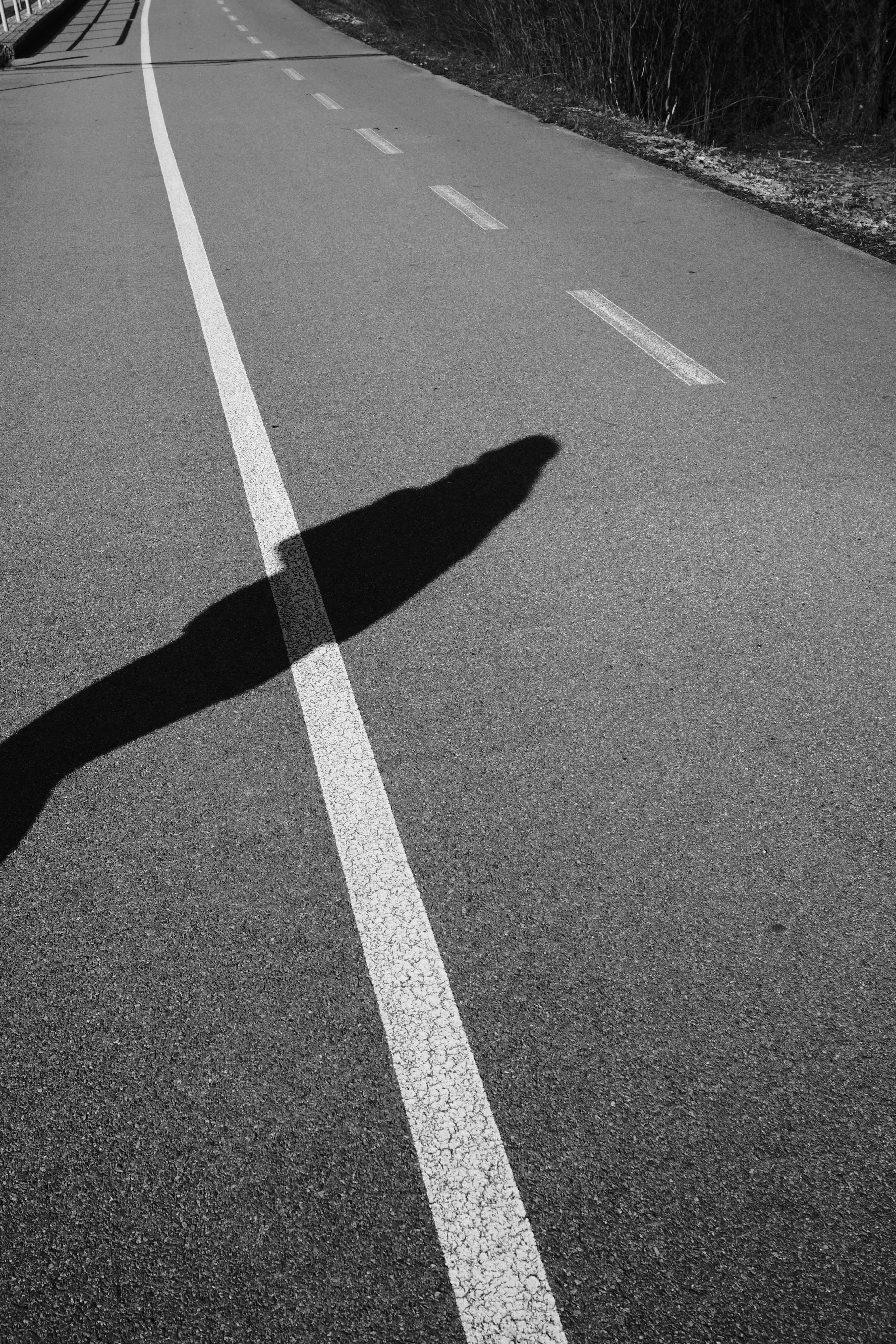 Photo by branislavrodman