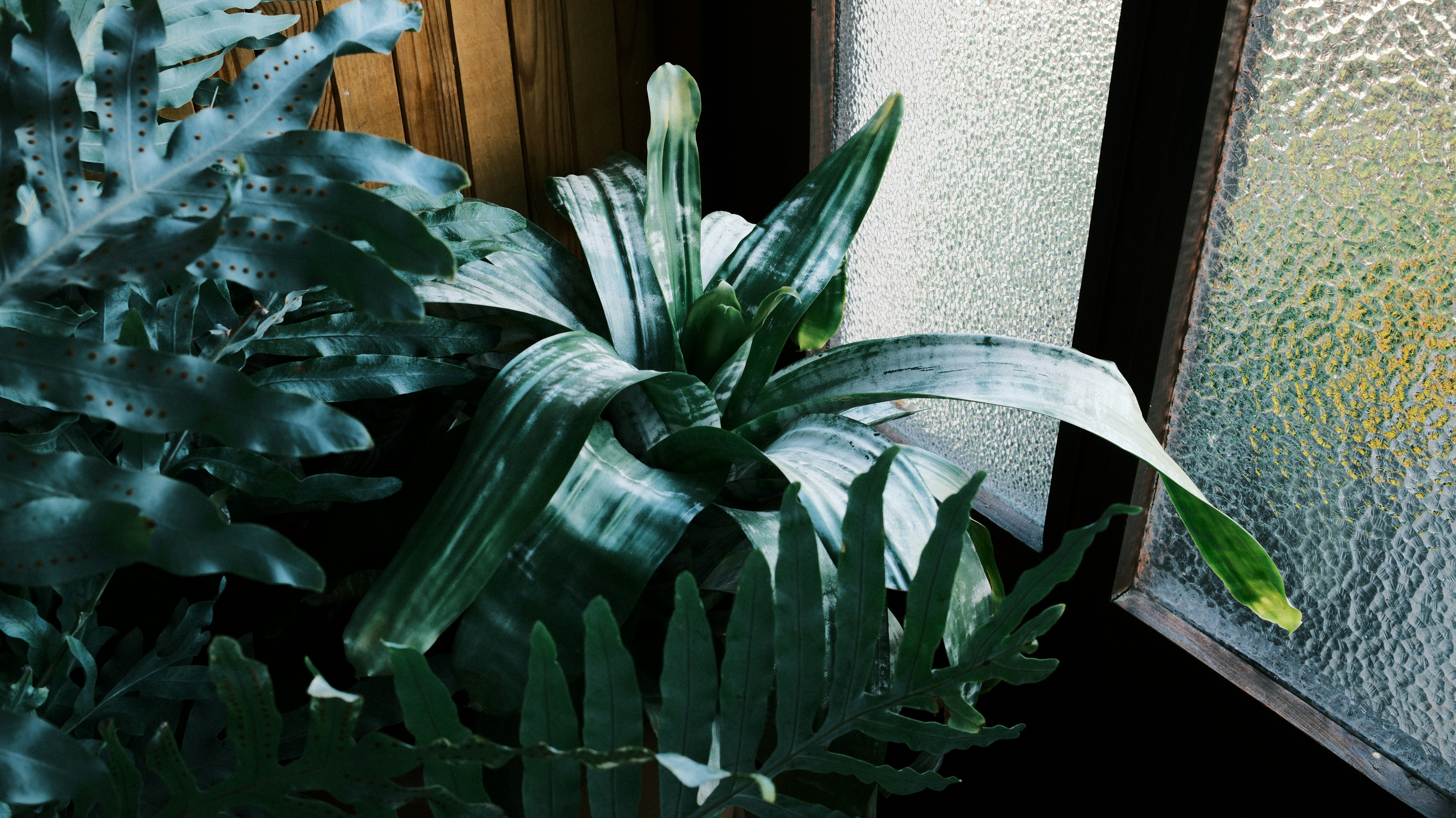 Photo by branislavrodman