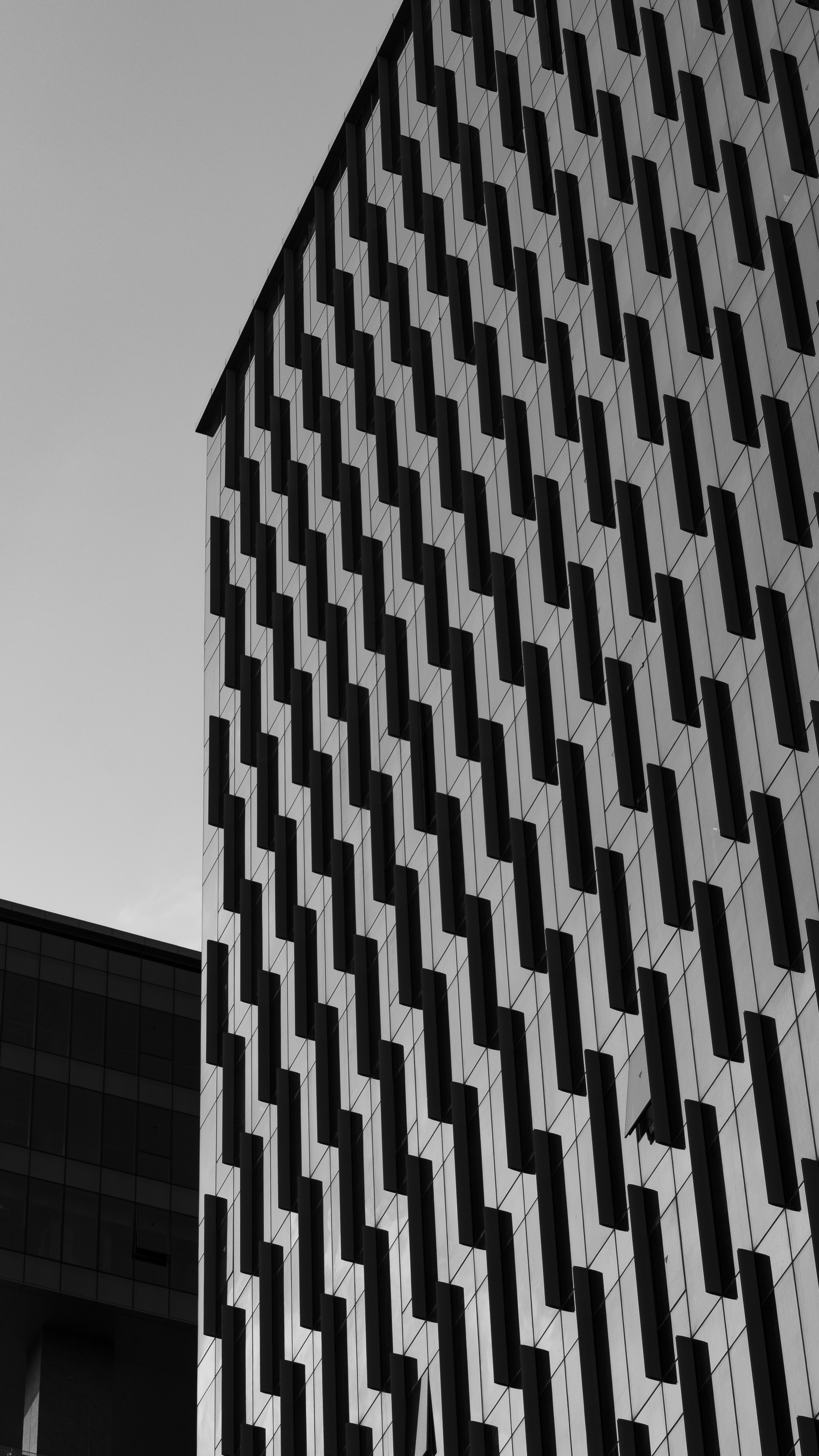 Photo by suryadoingstuff