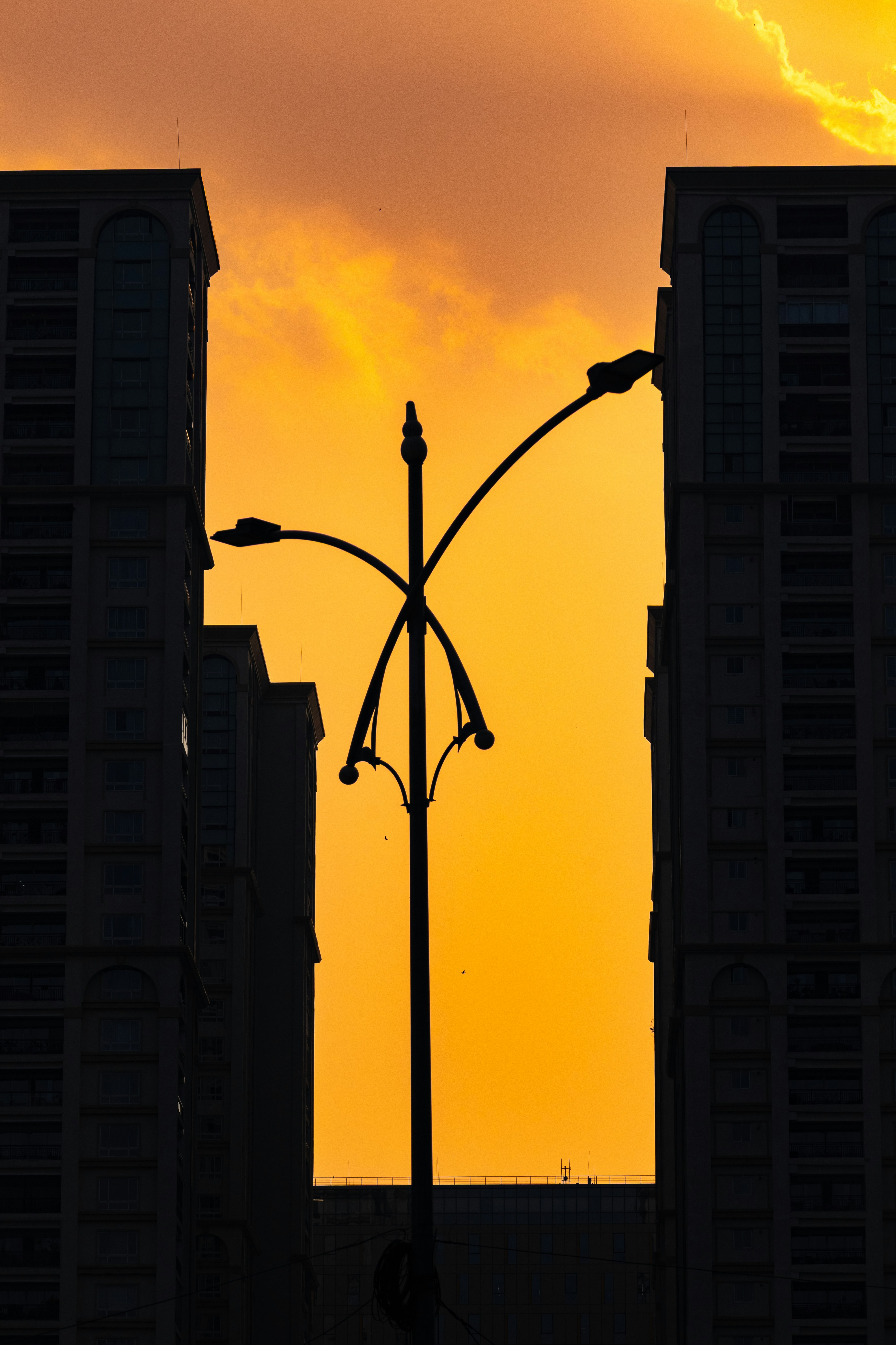 Photo by suryadoingstuff