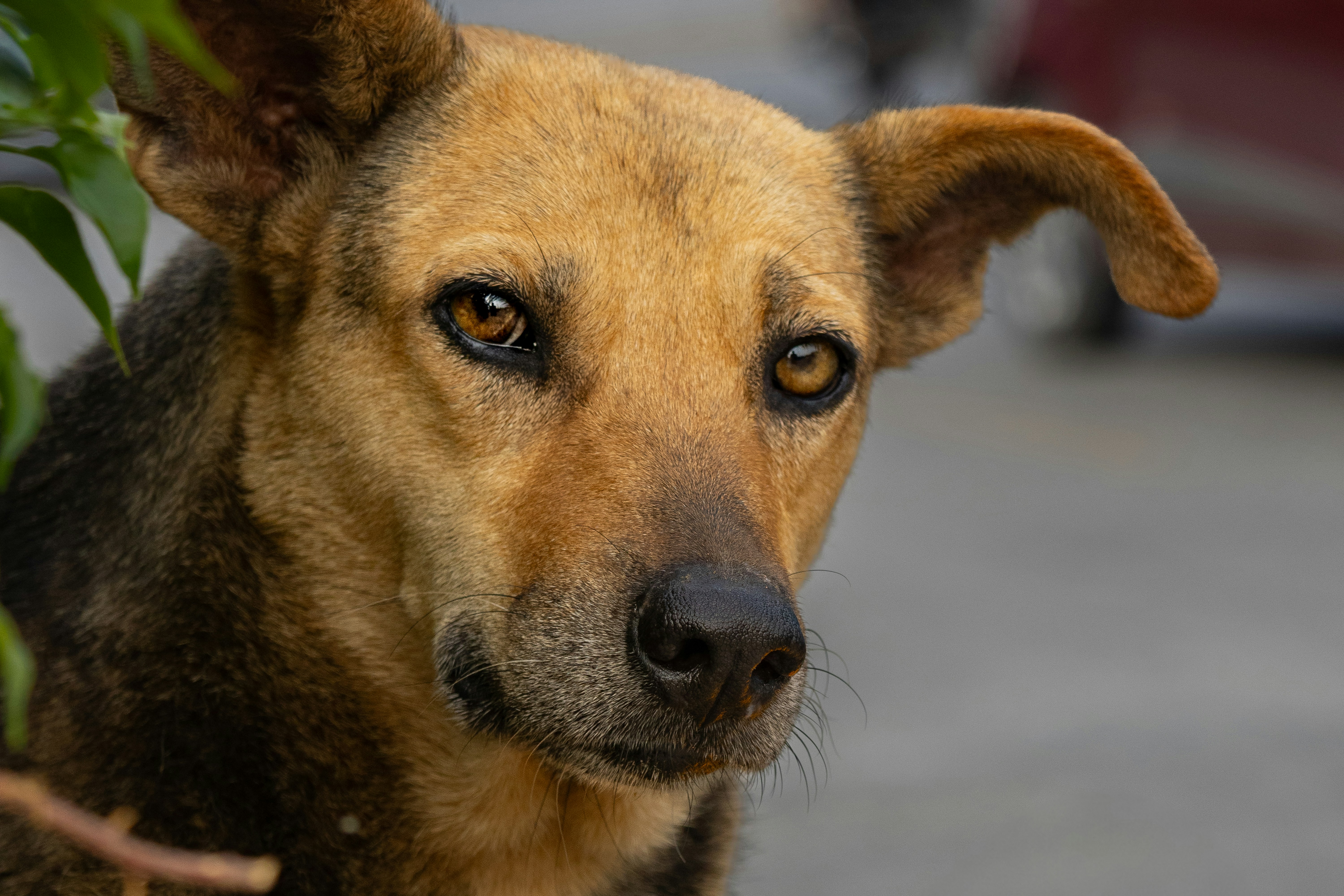 Photo by suryadoingstuff