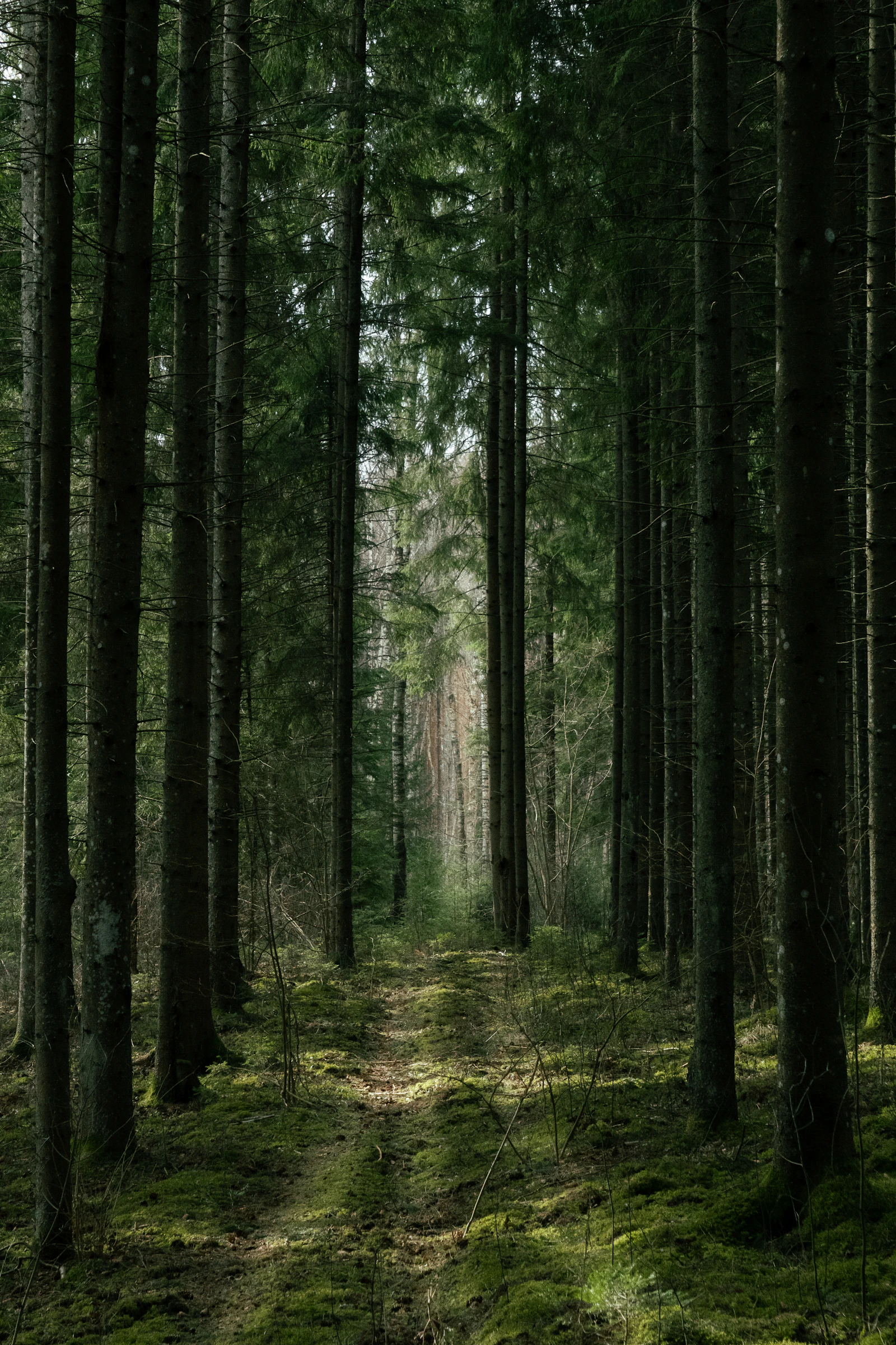A clear path forward