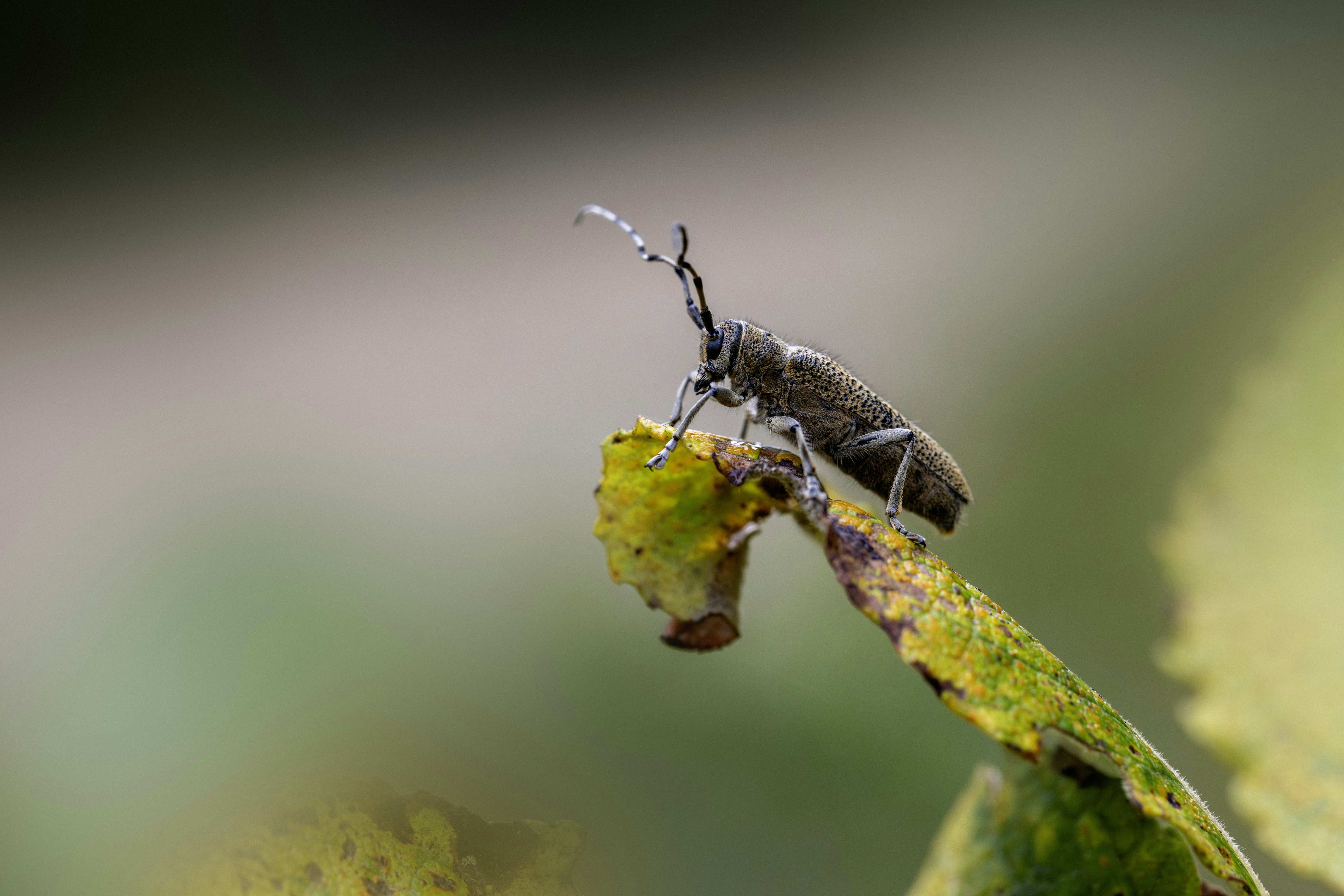 Photo by erik_karits