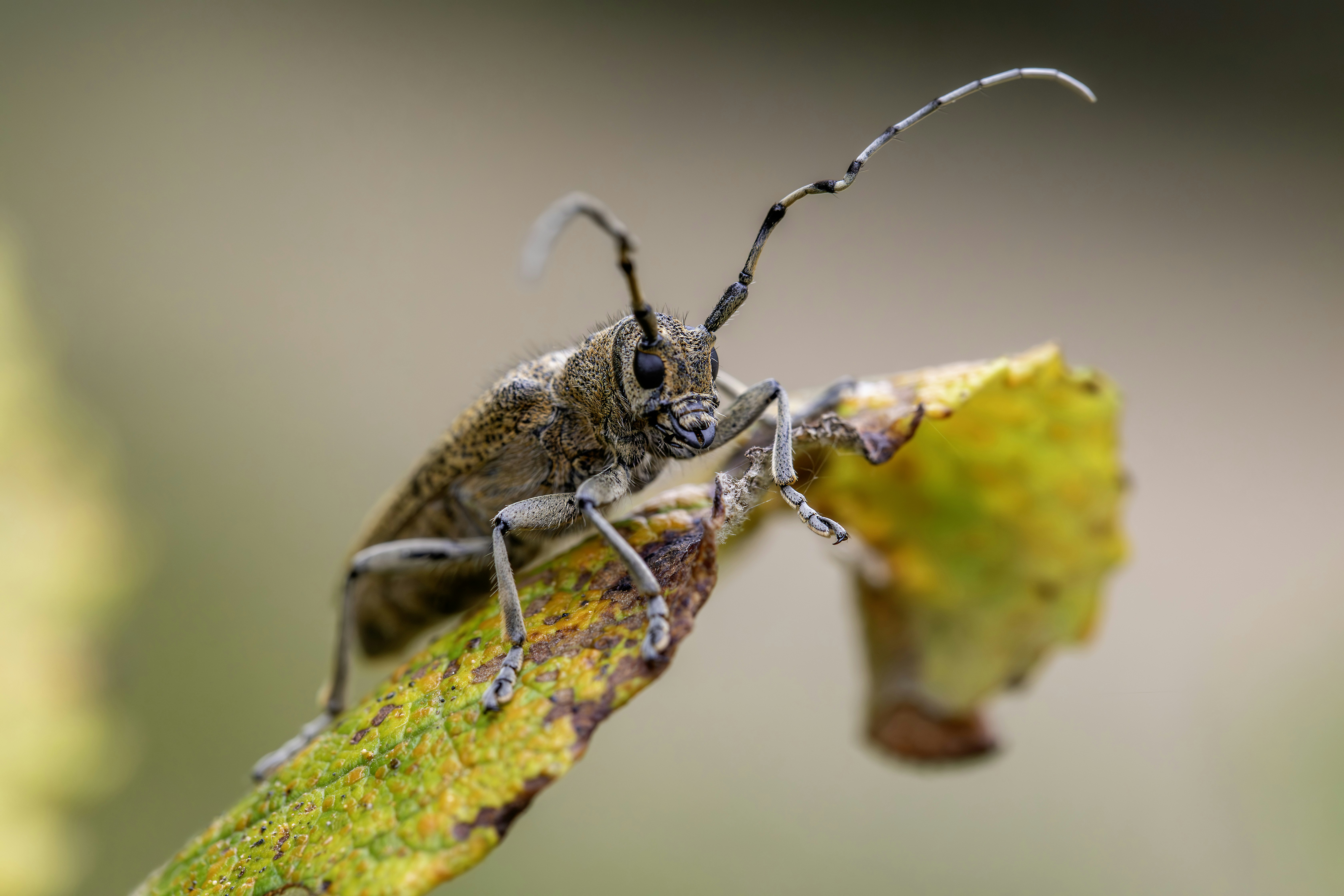 Photo by erik_karits