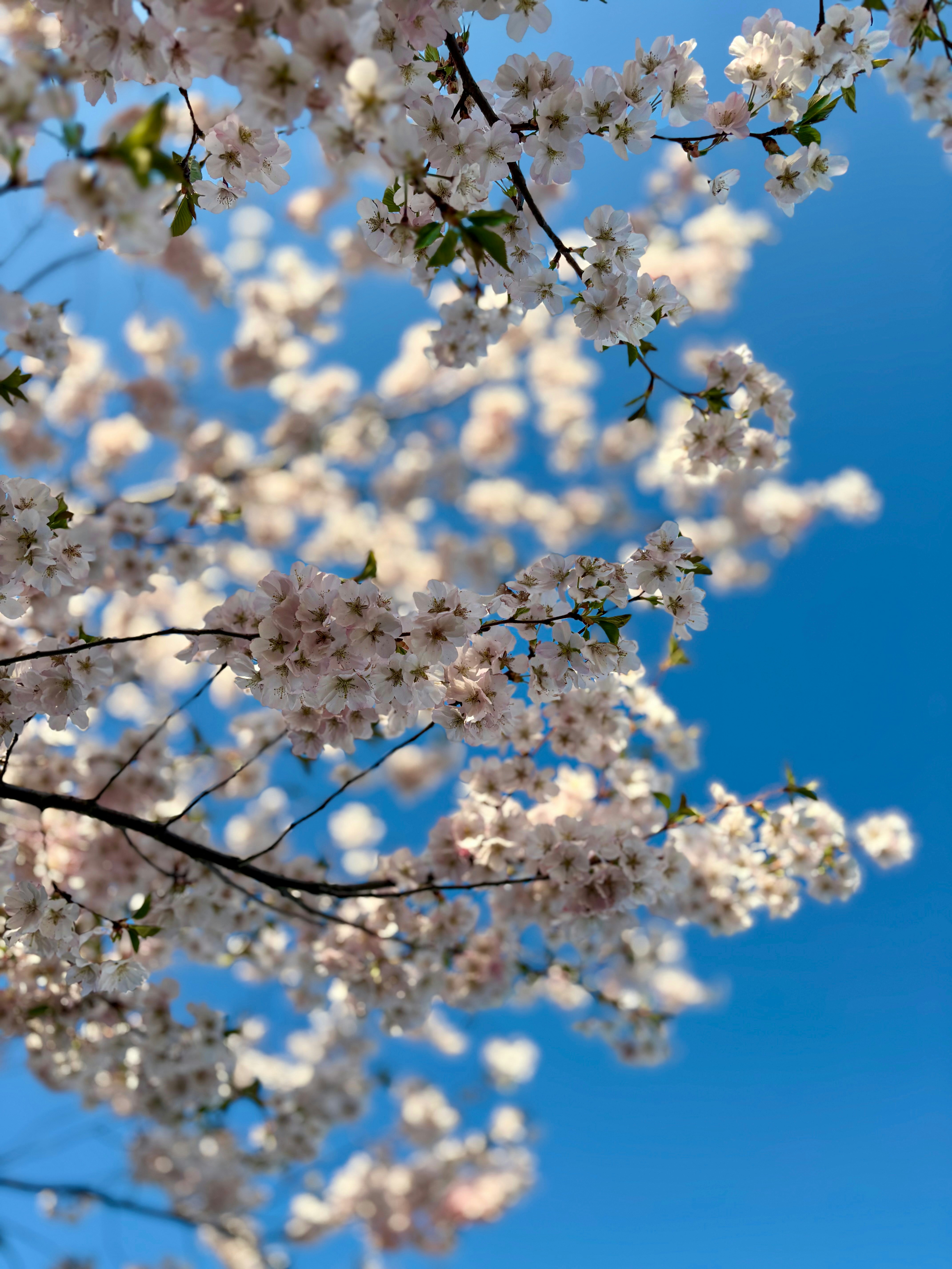 Photo by olahkrisztian