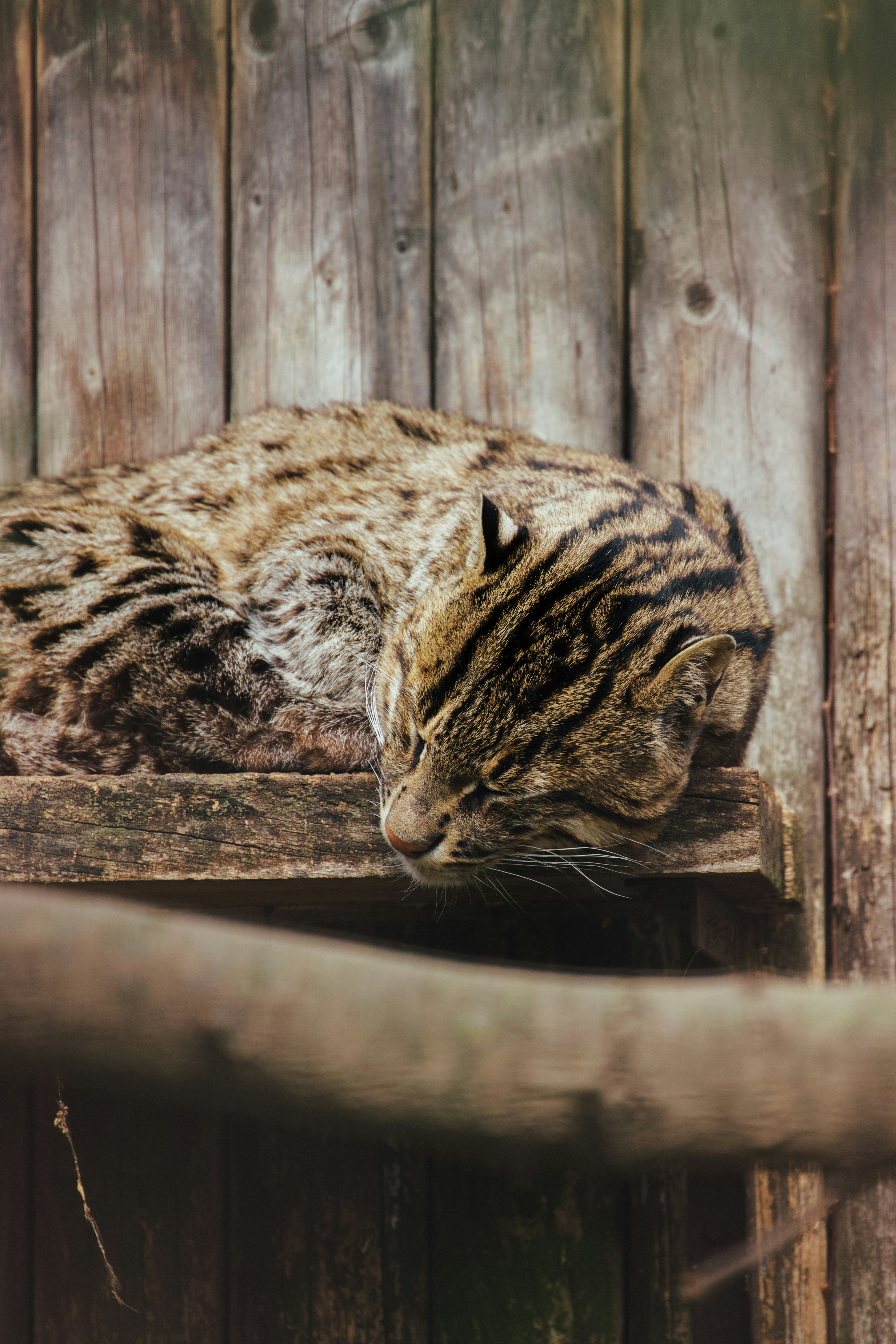 Photo by jakub_neskora