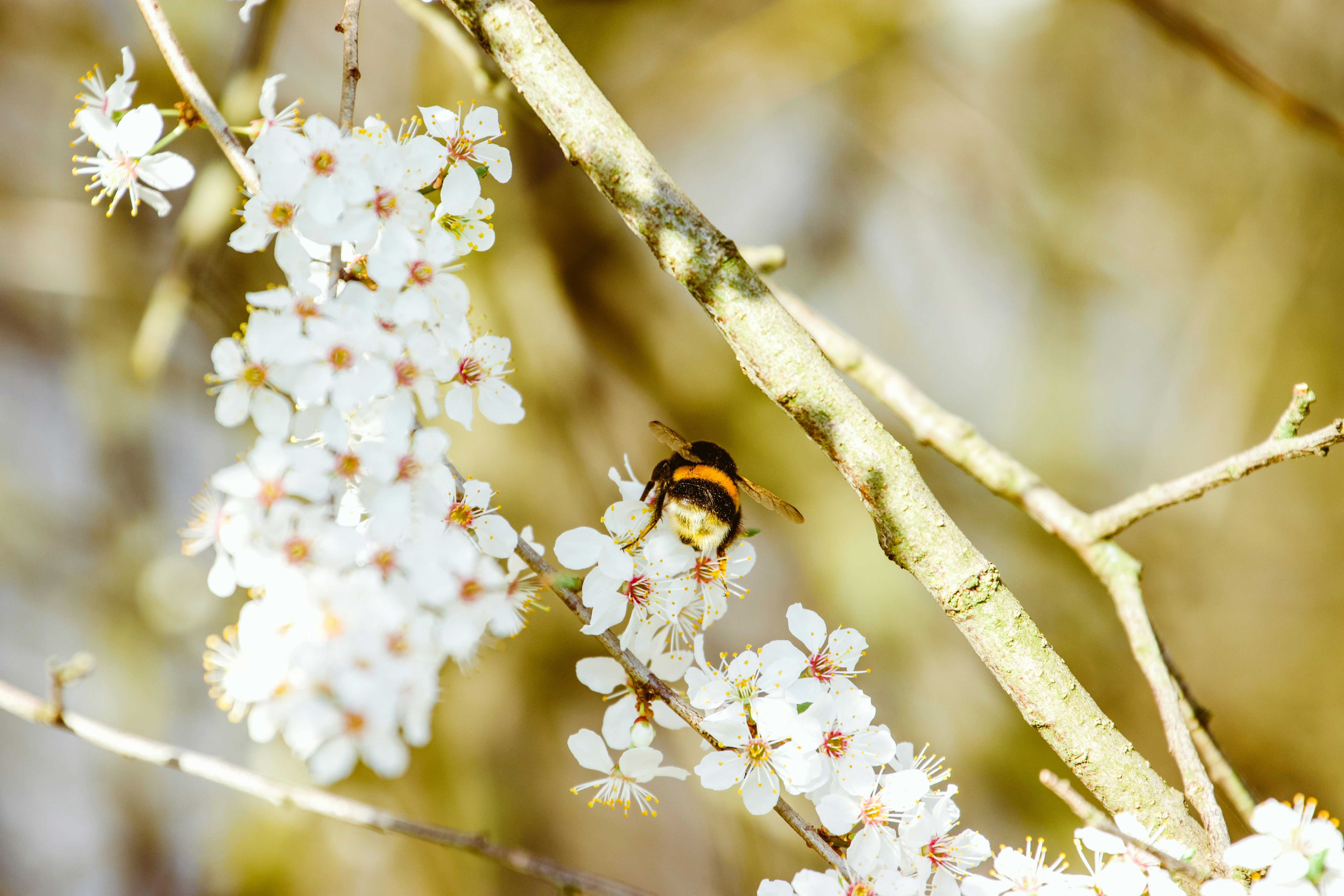 Photo by jakub_neskora