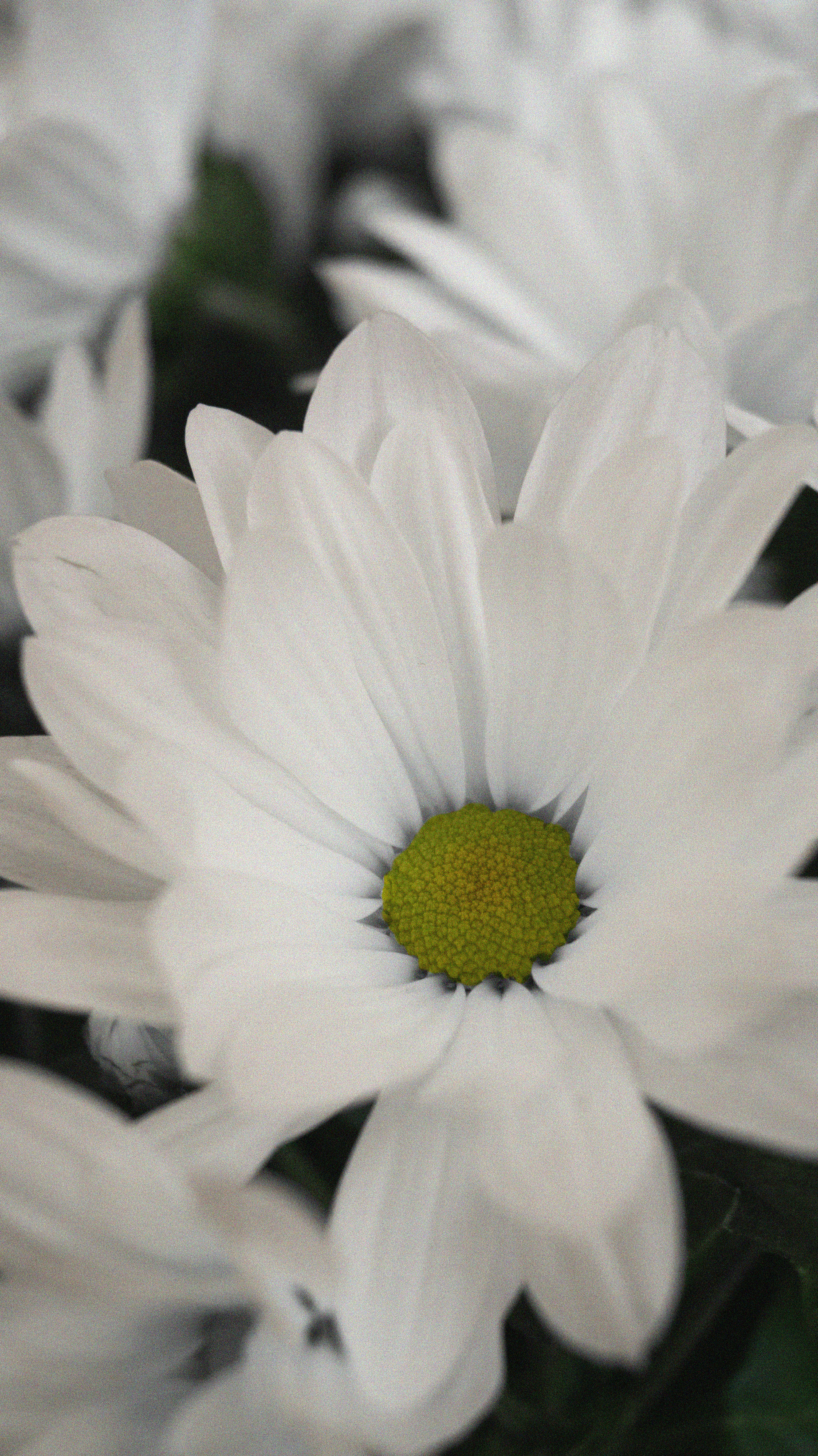 Photo by hannapisareve