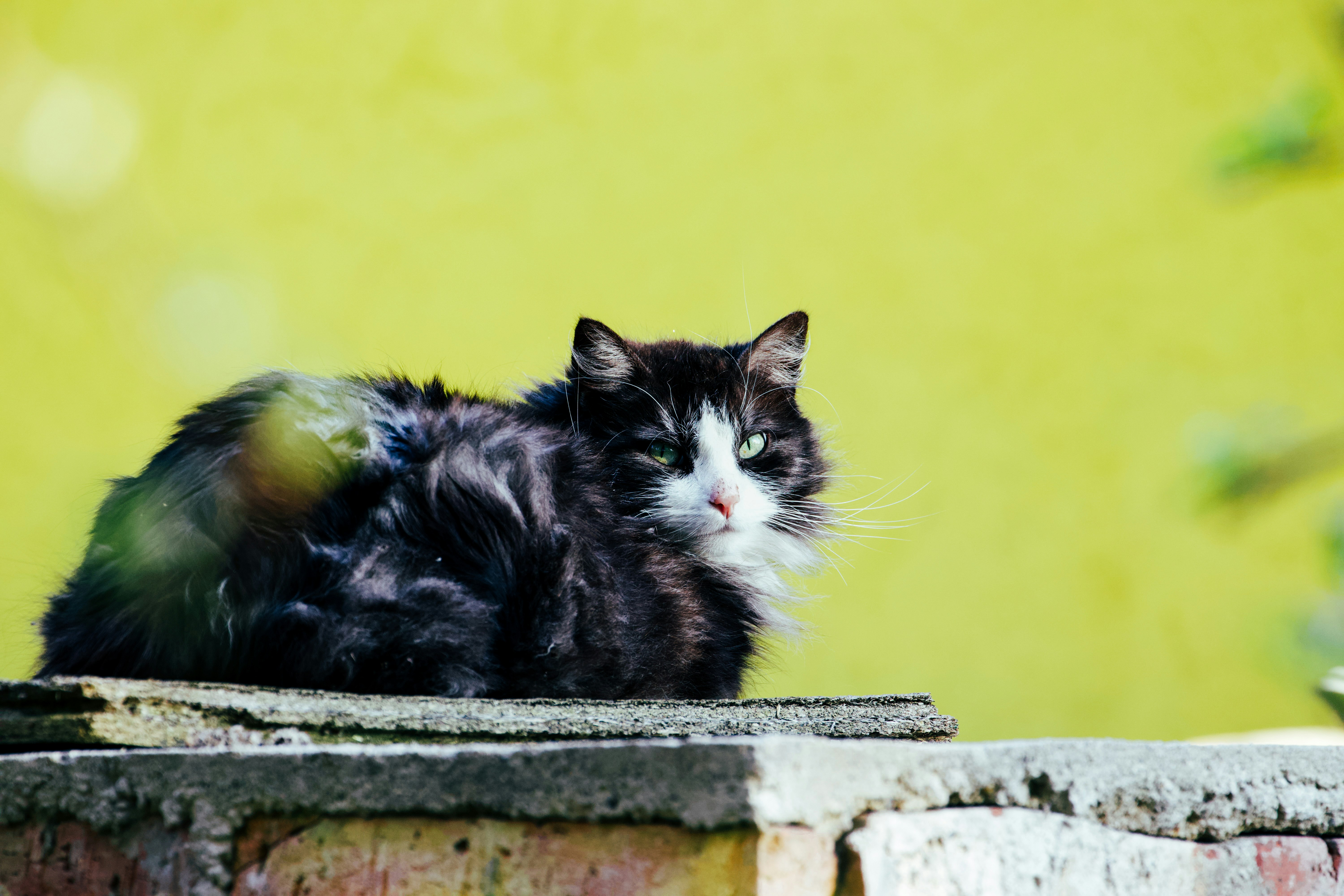 Photo by jakub_neskora