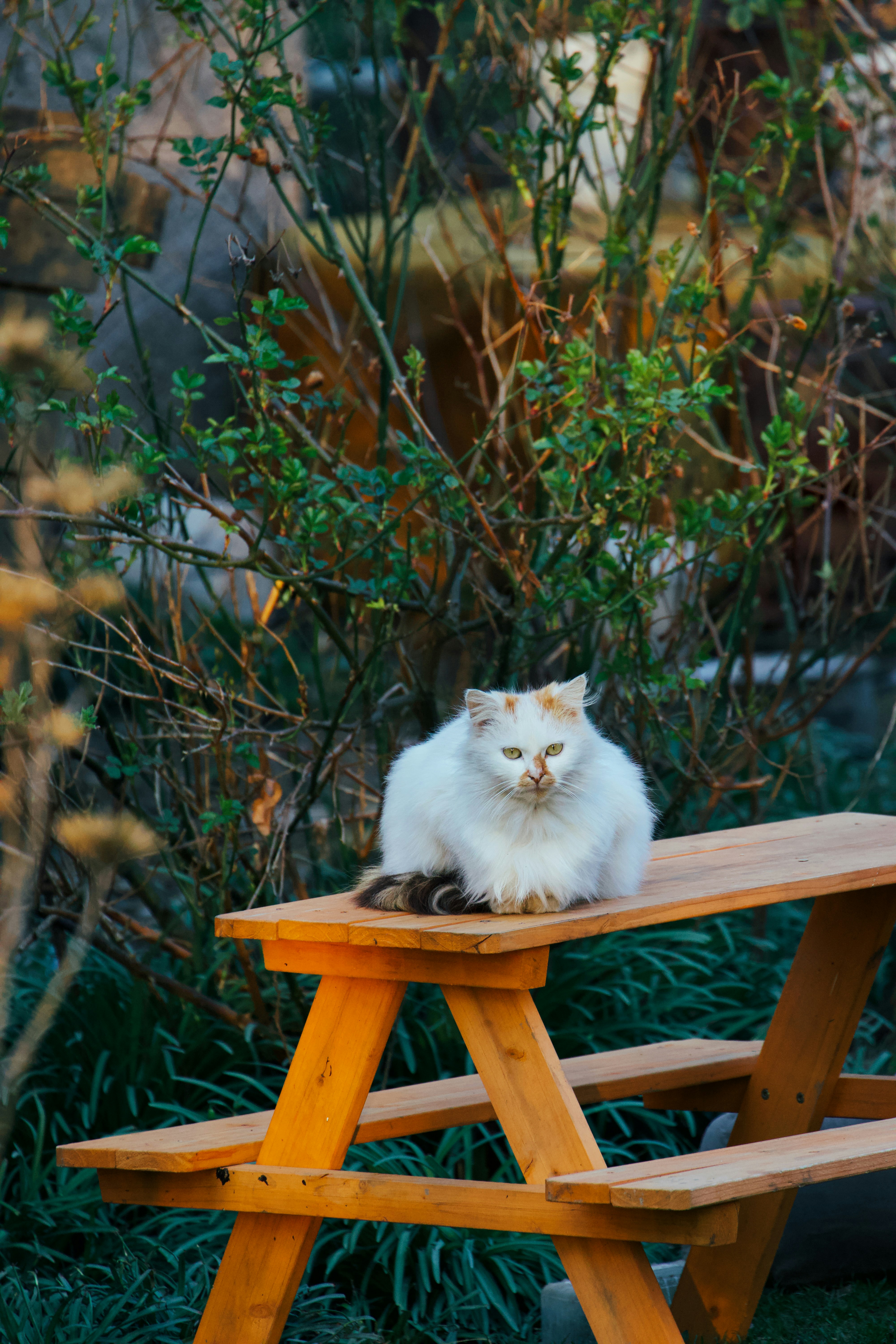 Photo by jakub_neskora