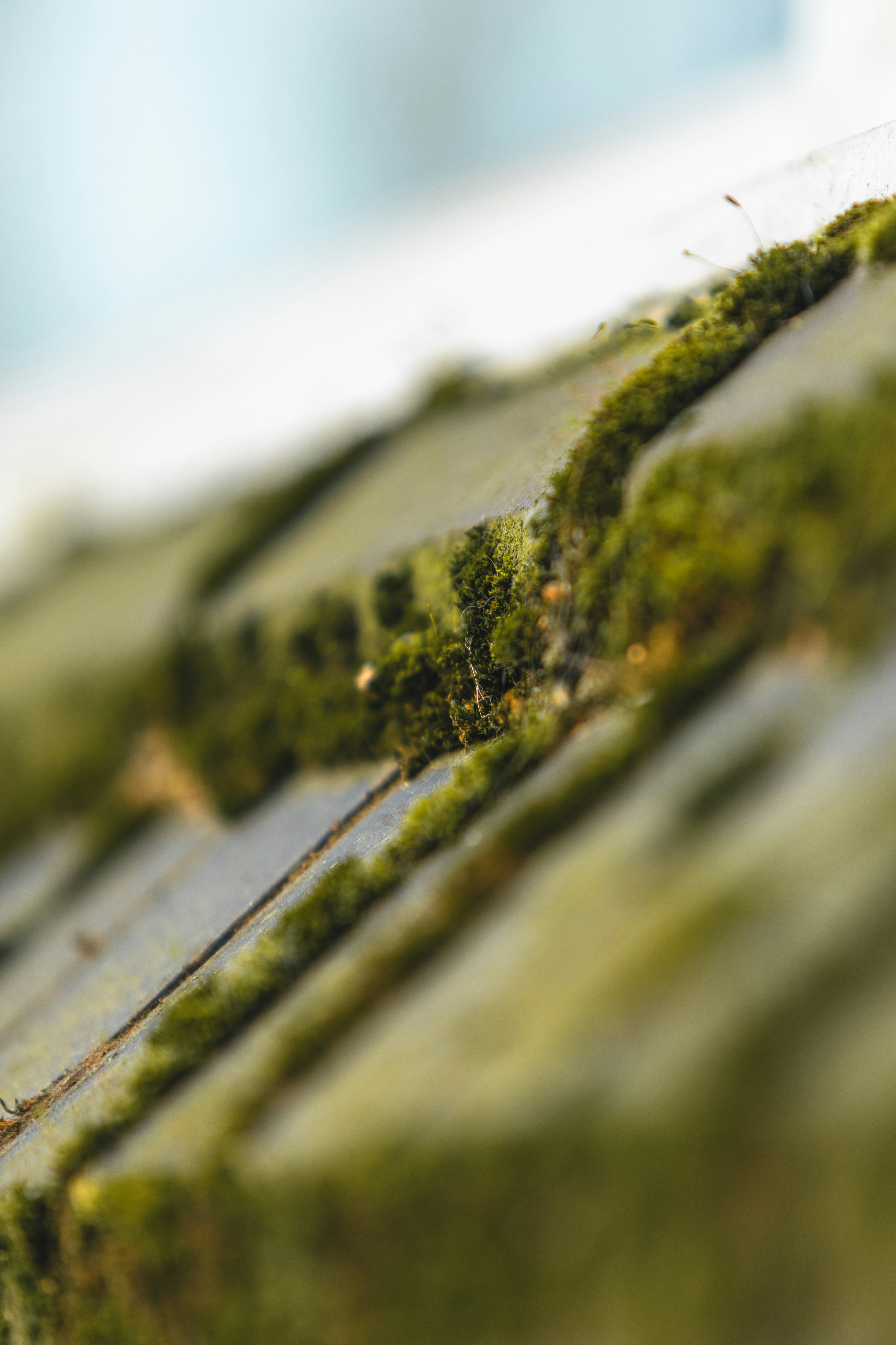 Photo by jackson_sears