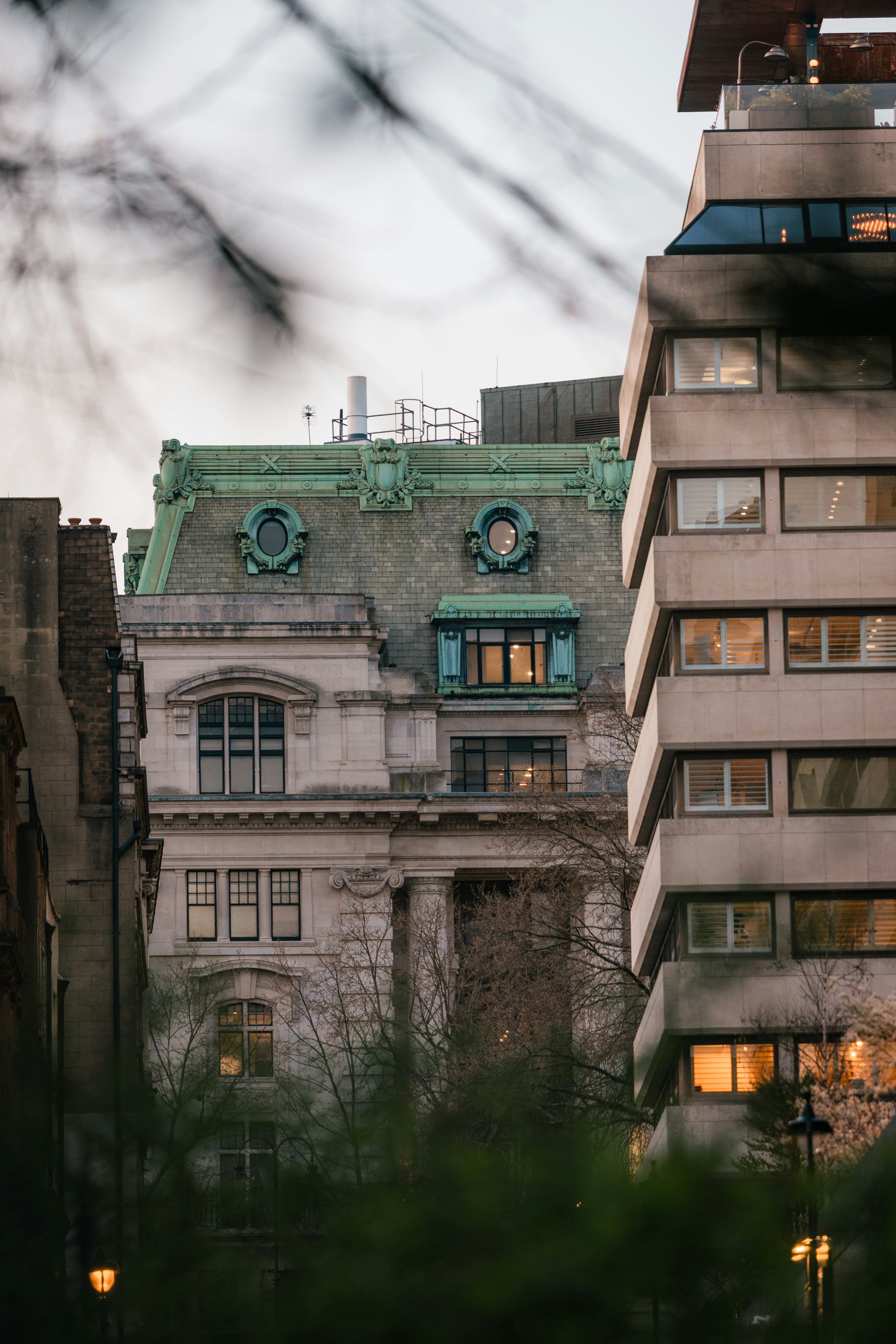 Buildings stand against the sky, framed by branches