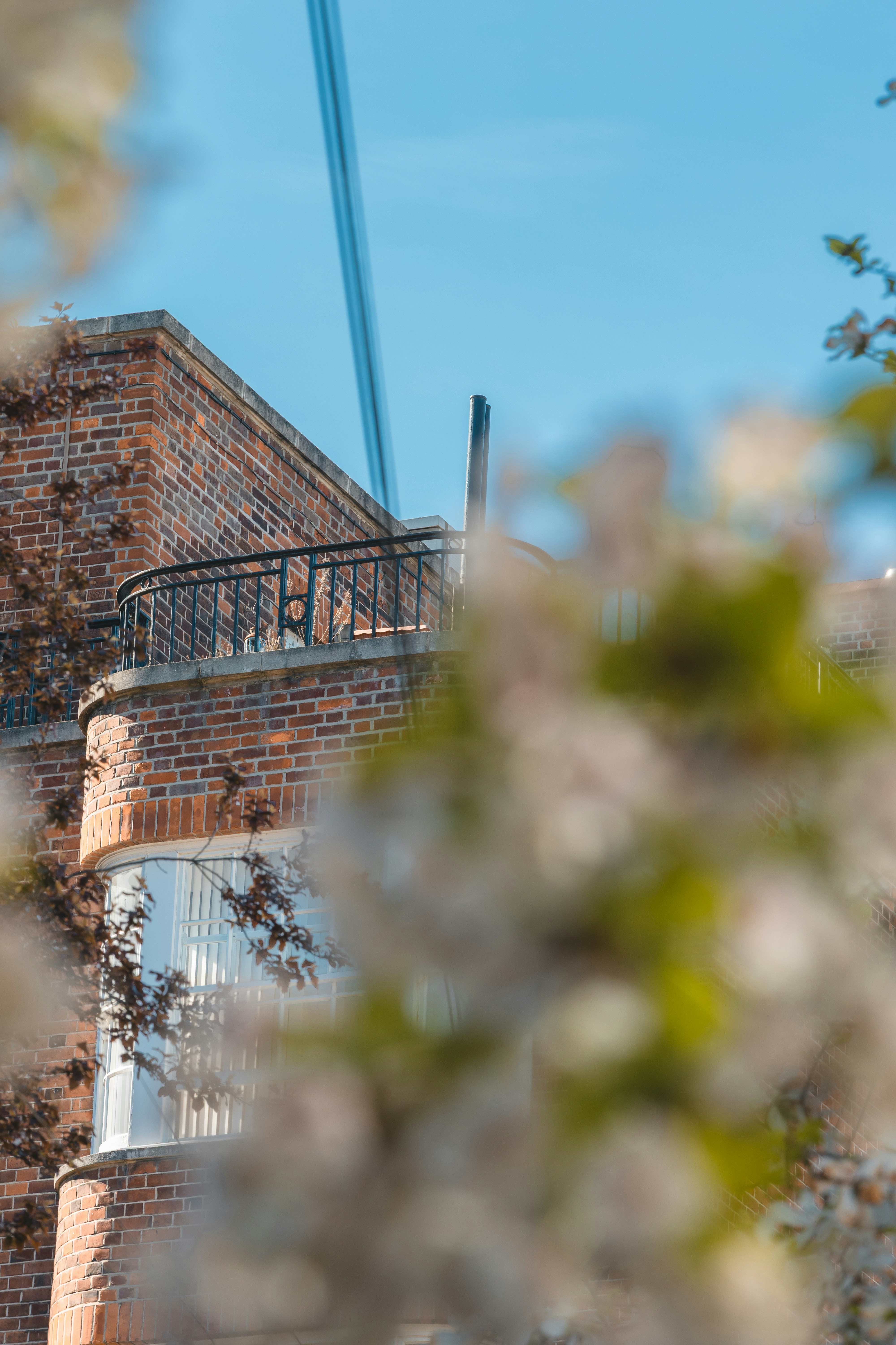 Photo by jackson_sears