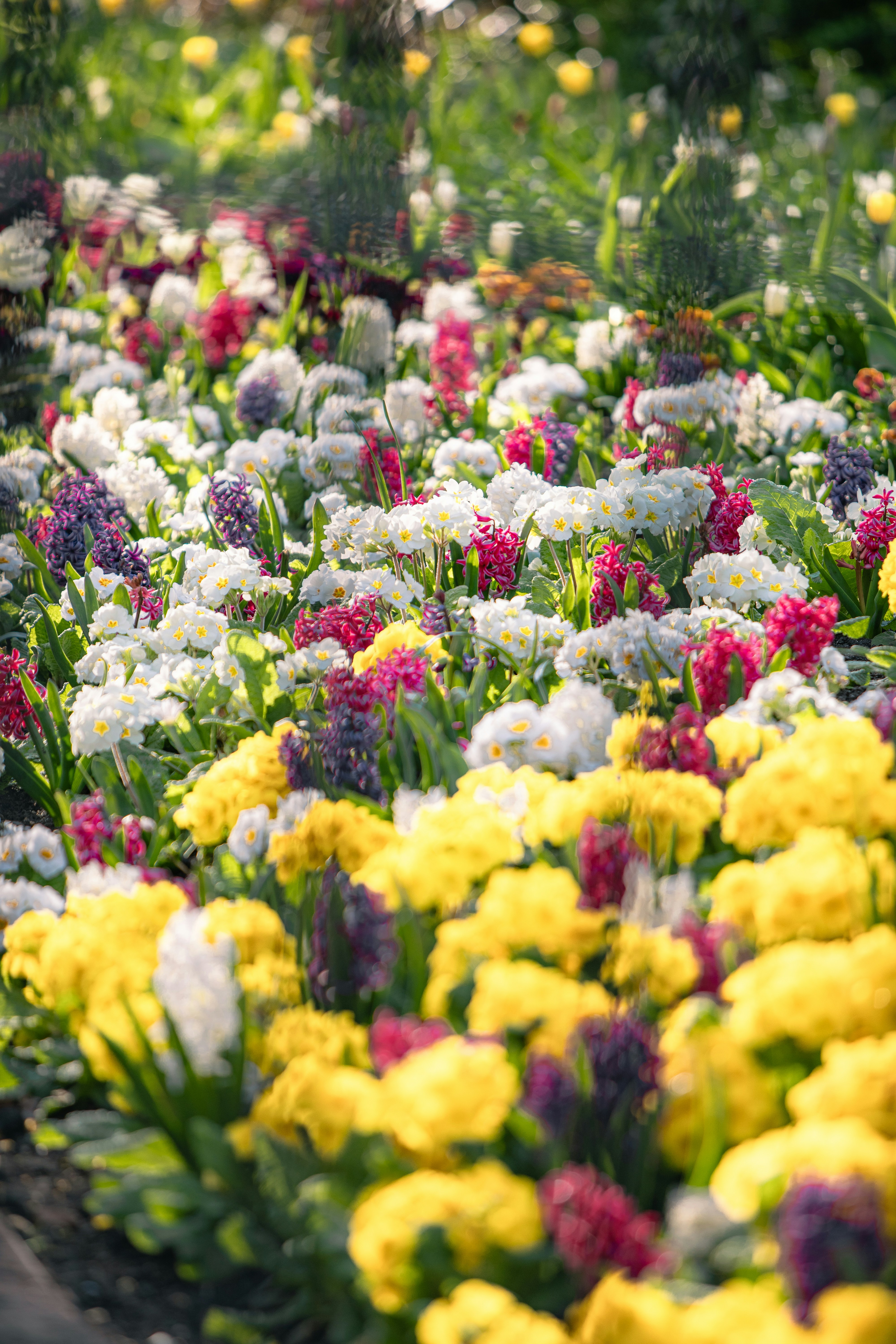 Photo by jackson_sears