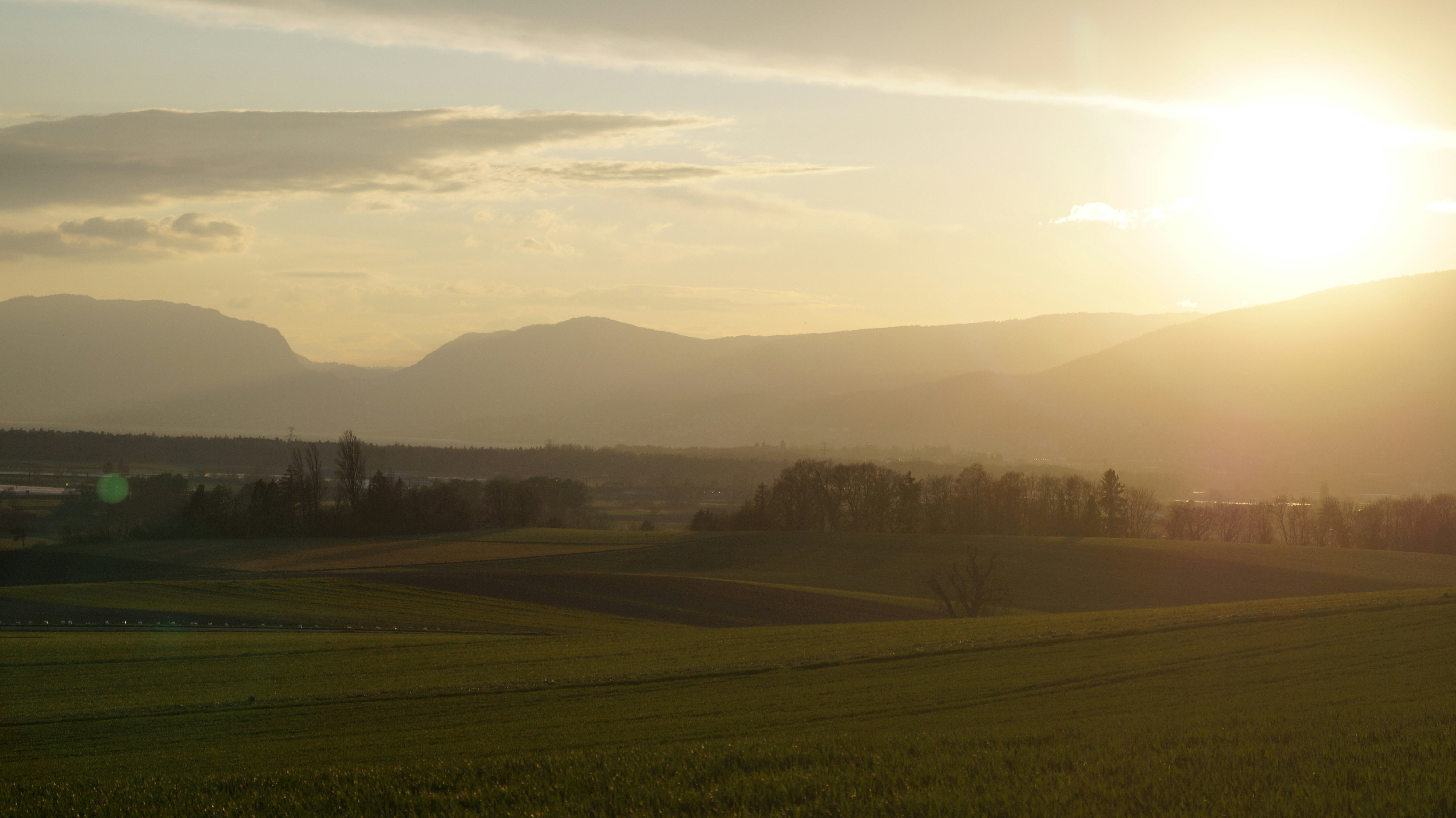 Photo by jachymprachar