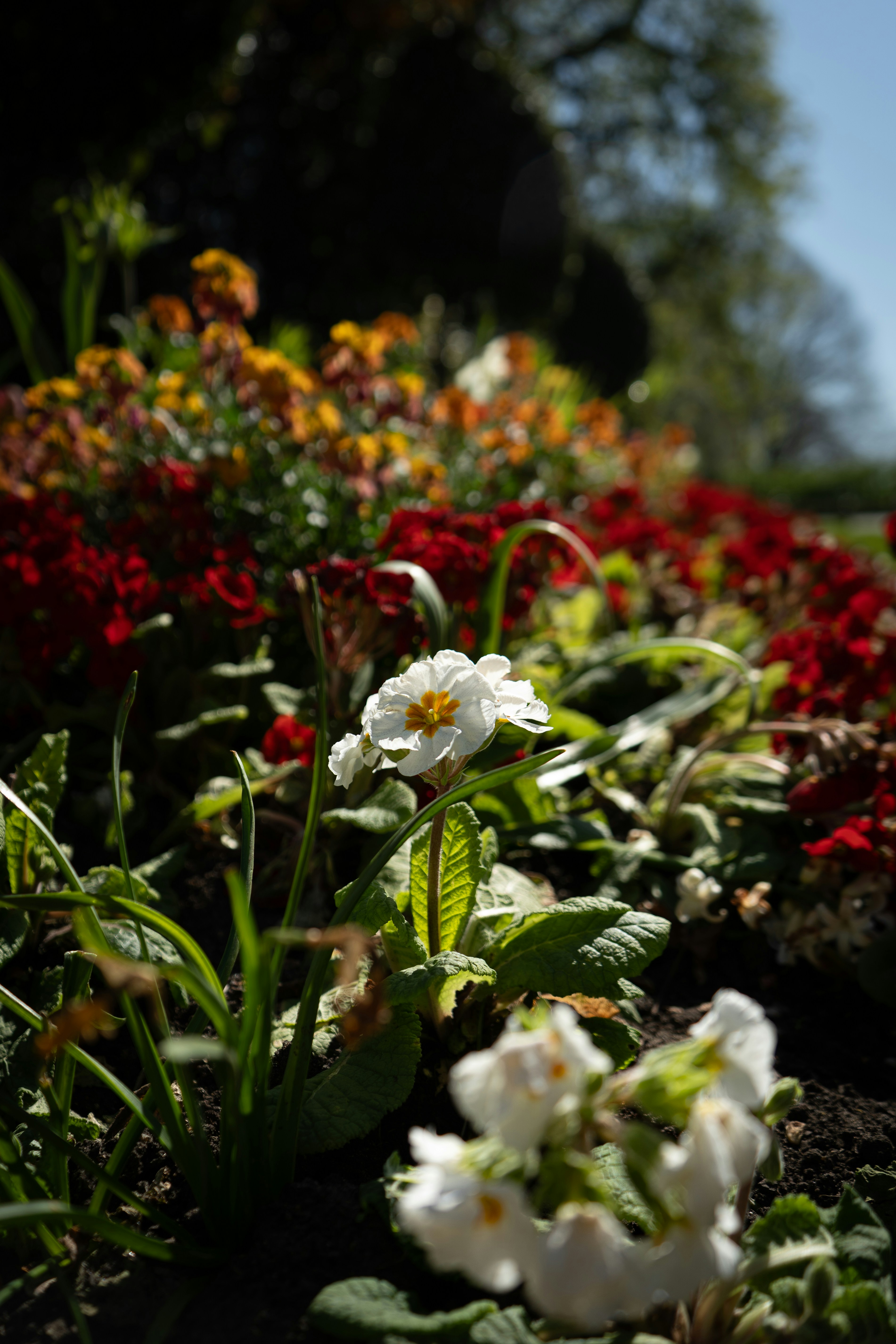 Photo by samuel_hagger