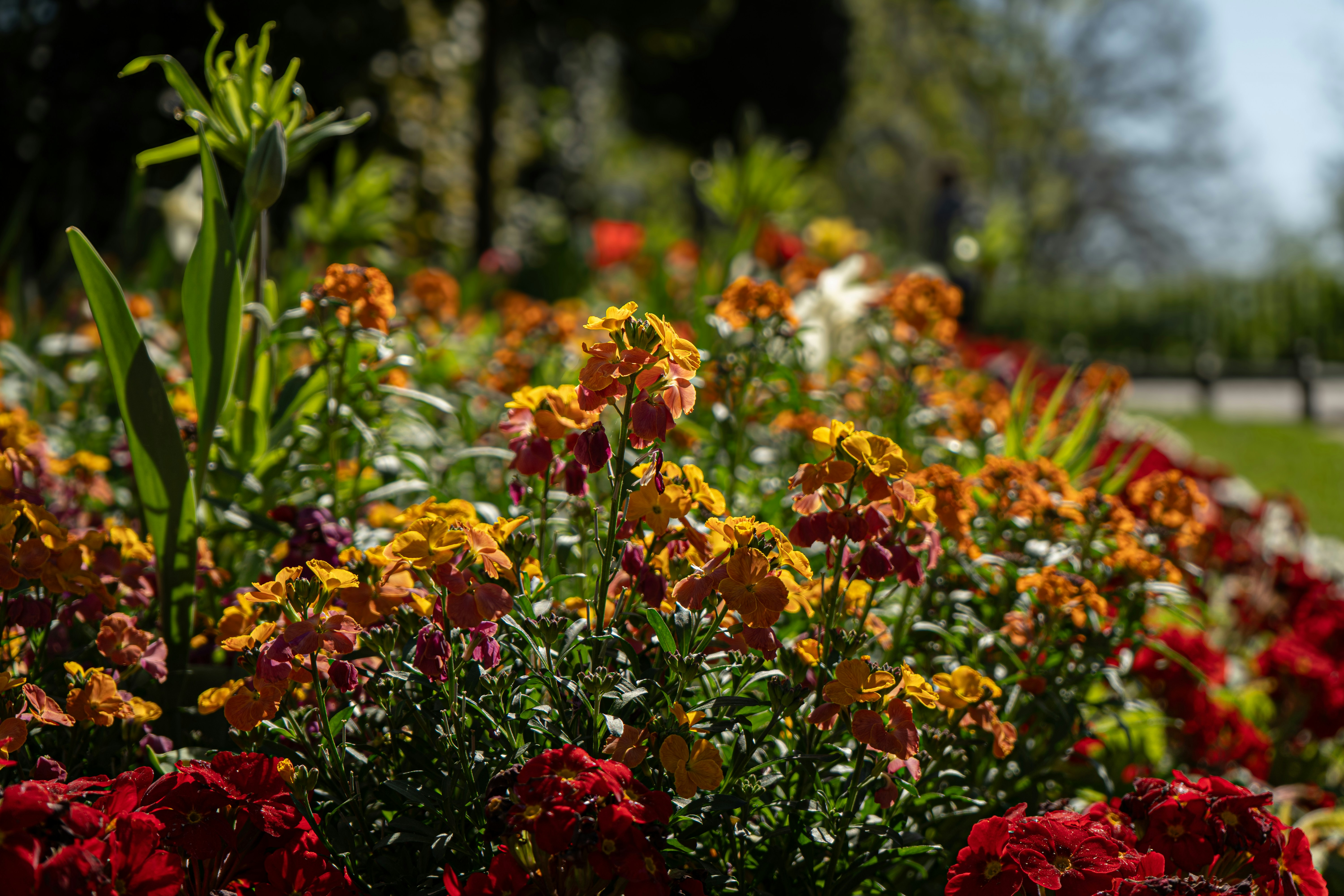 Photo by samuel_hagger