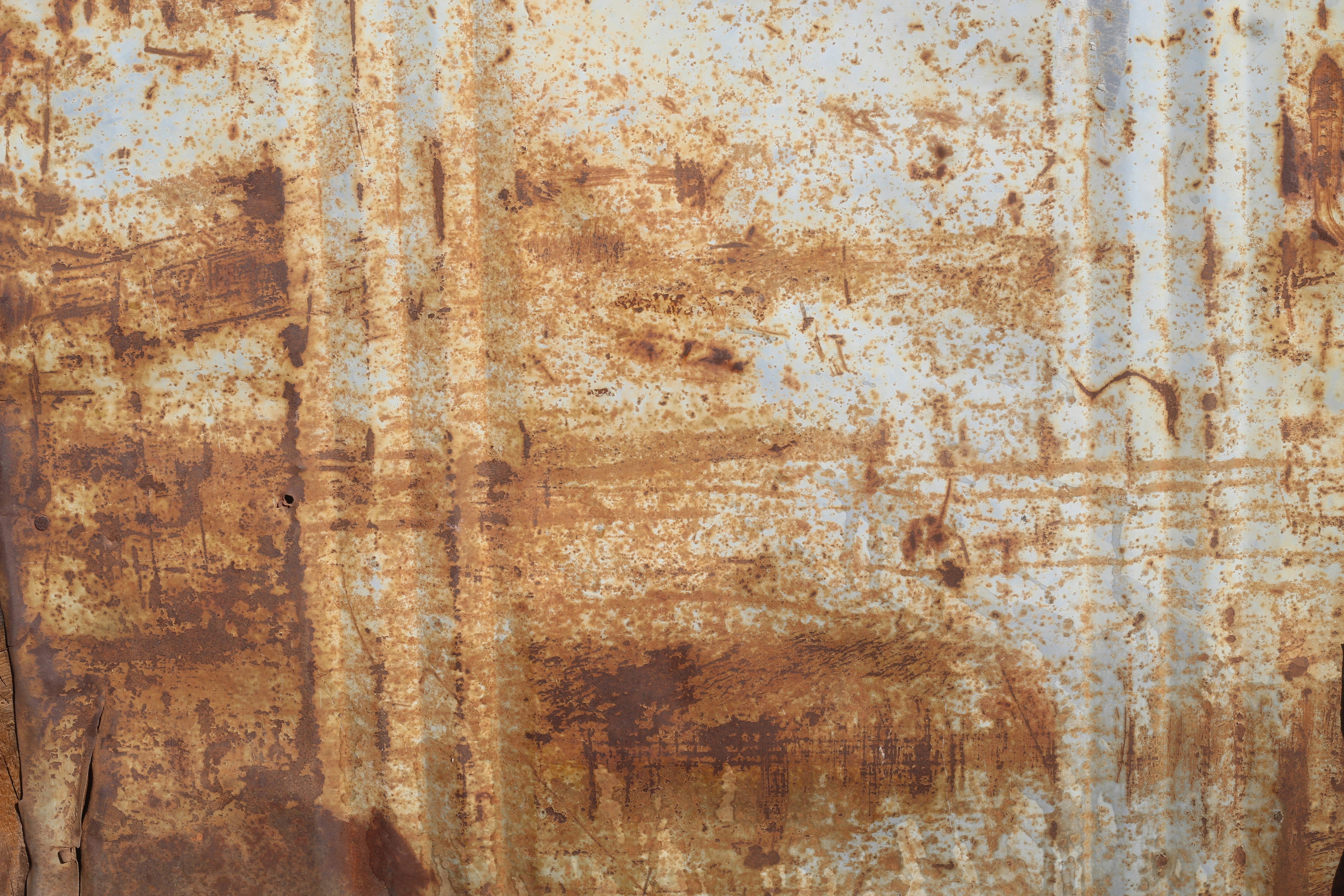 Photo by rodrigotypo