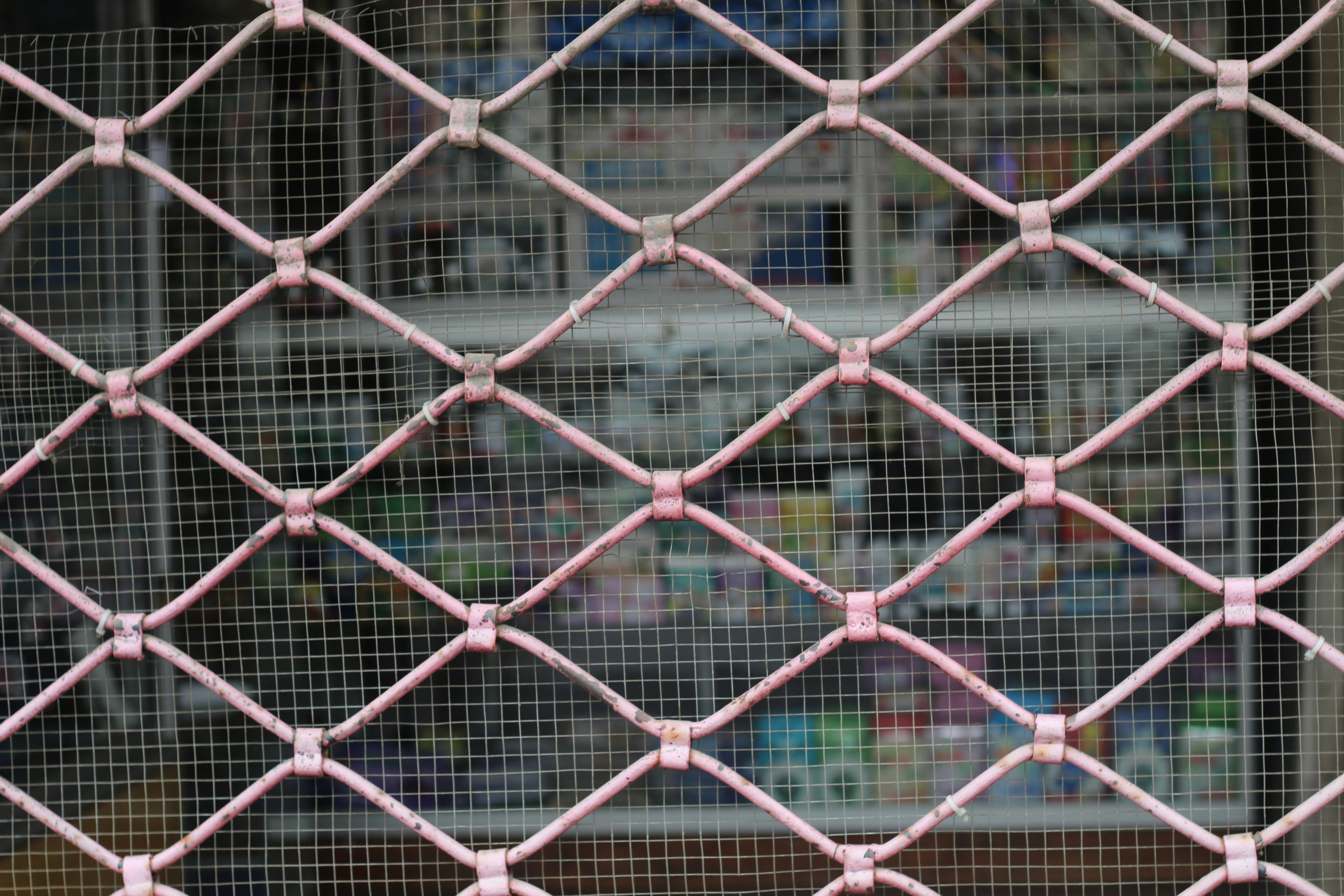 Photo by rodrigotypo