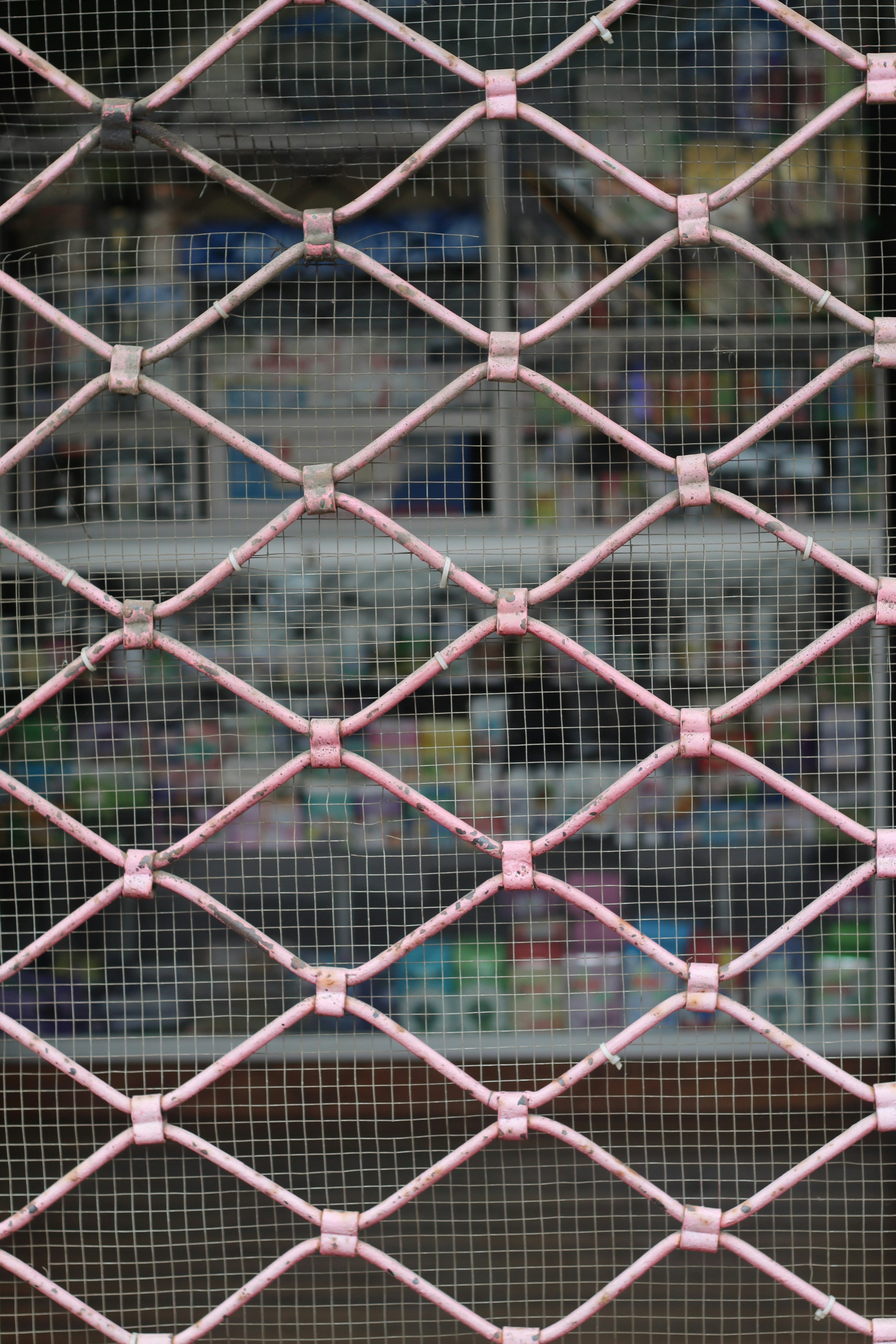 Photo by rodrigotypo