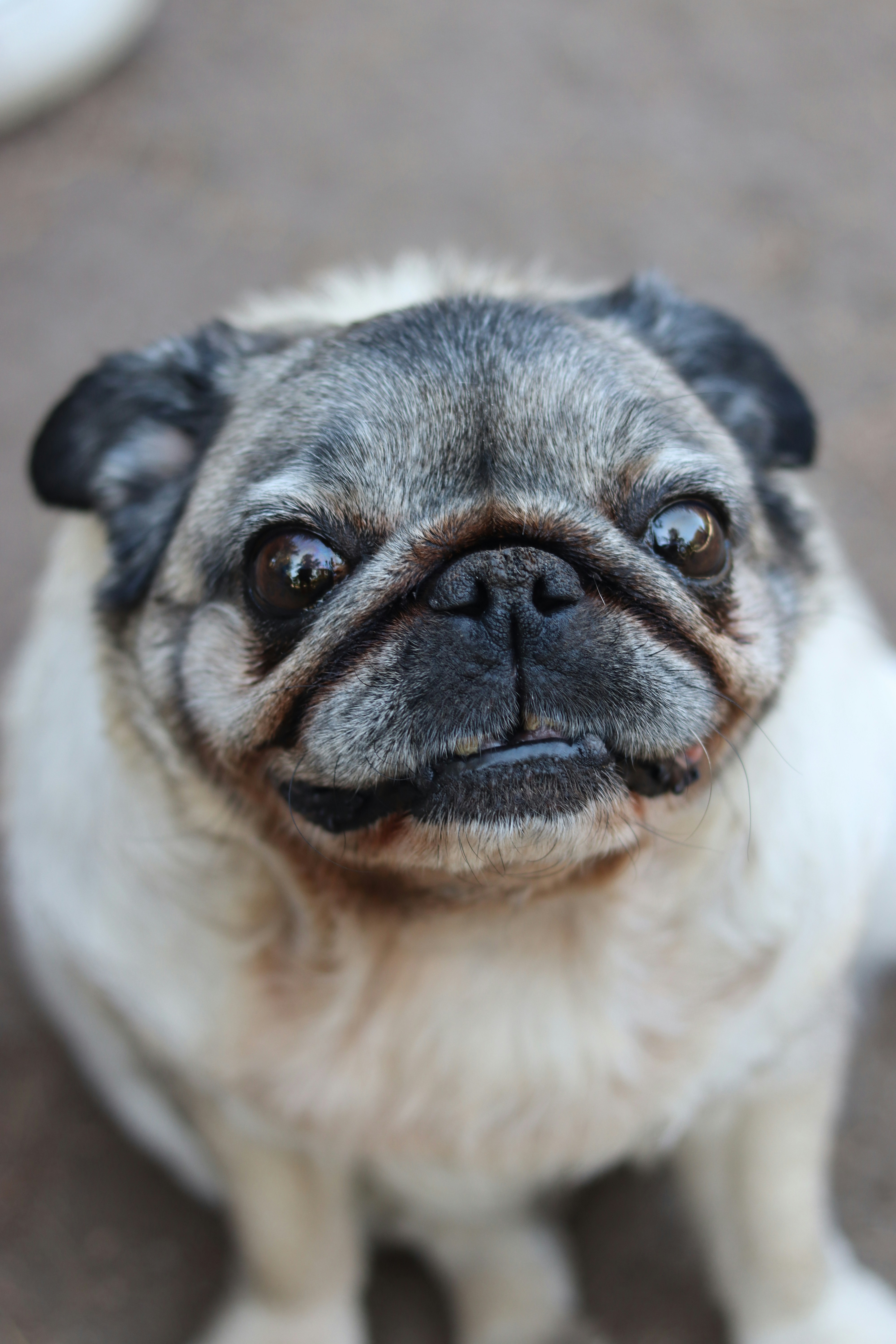 Photo by rodrigotypo