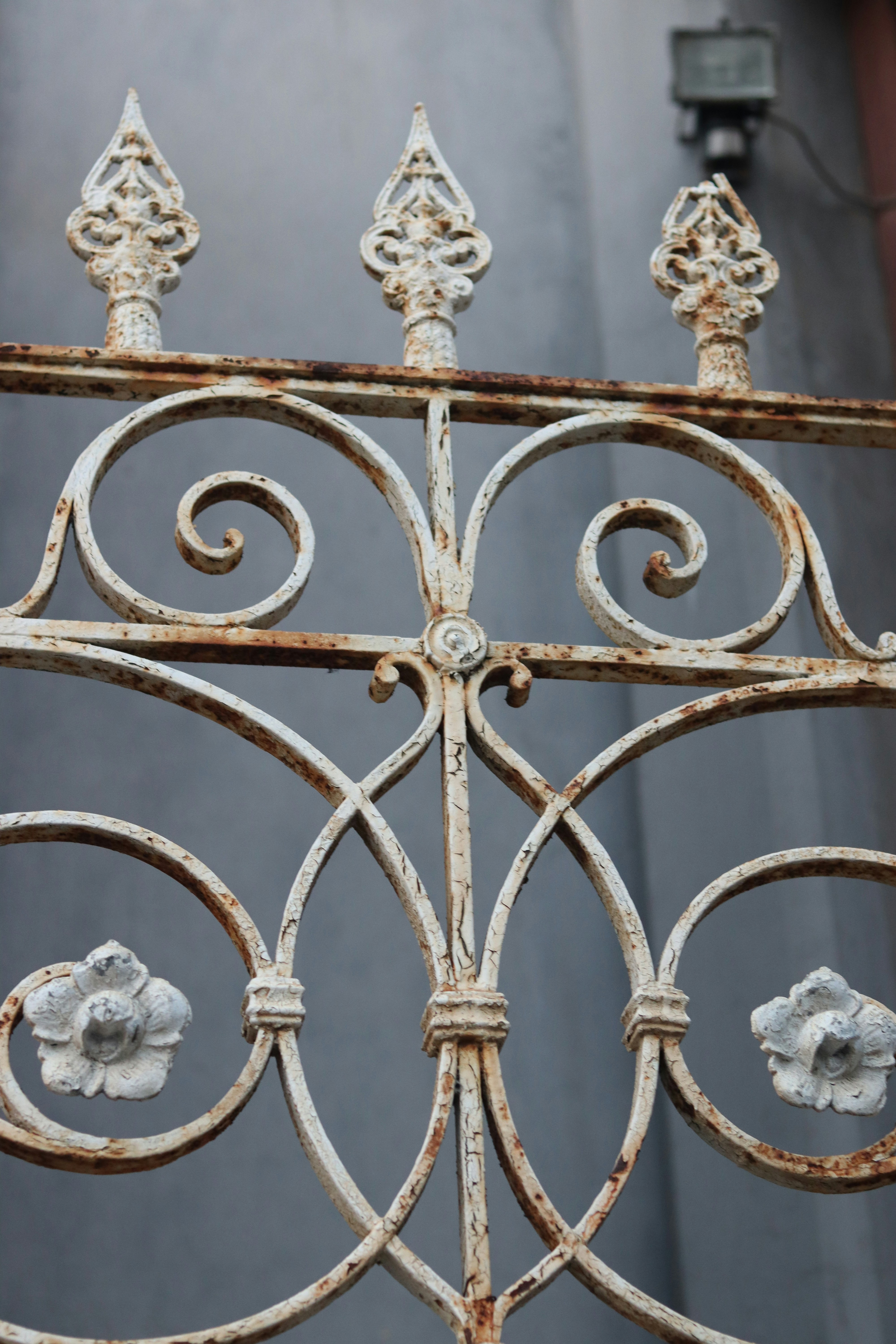 Photo by rodrigotypo