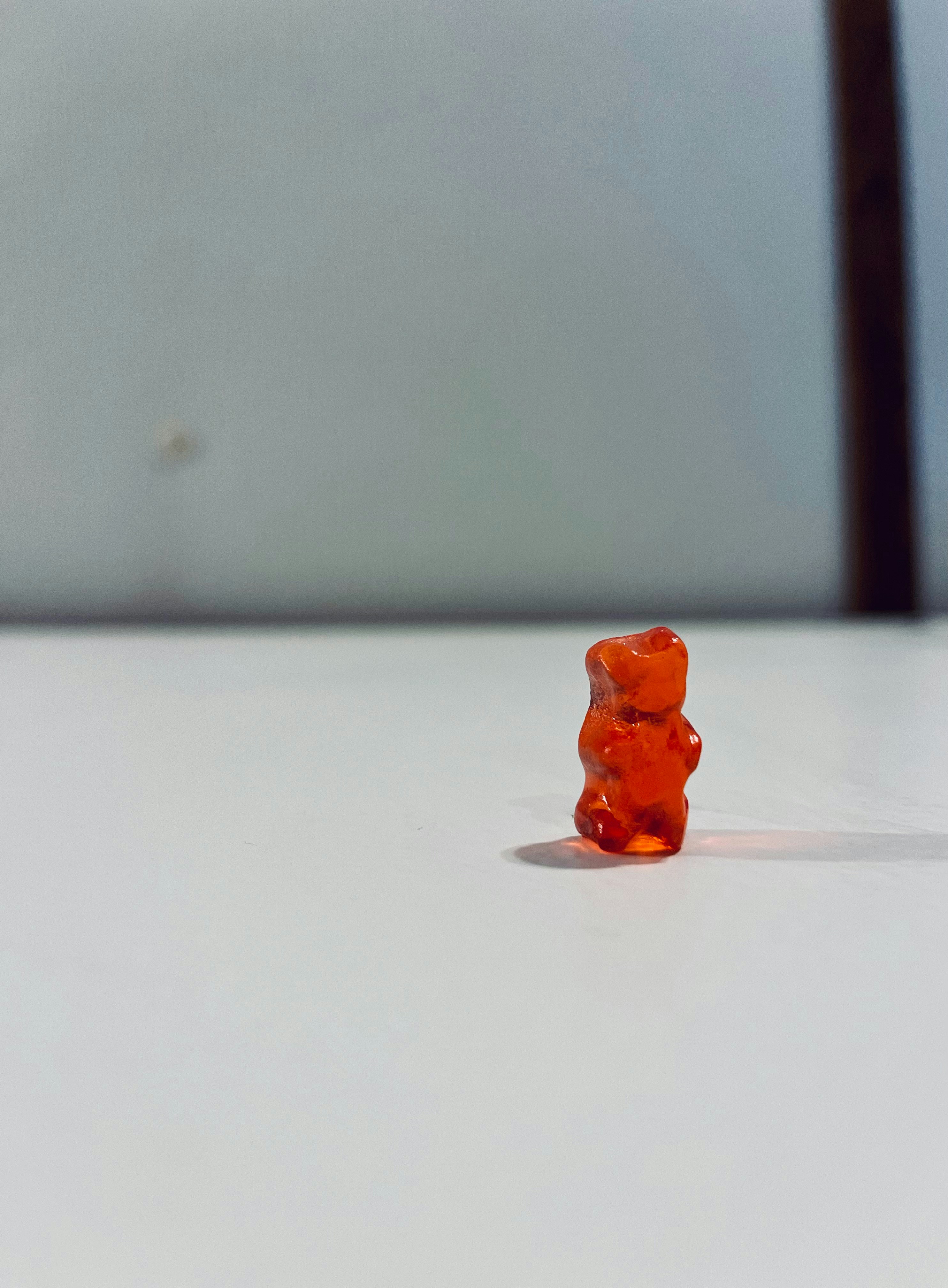 Photo by ryleighhenschen