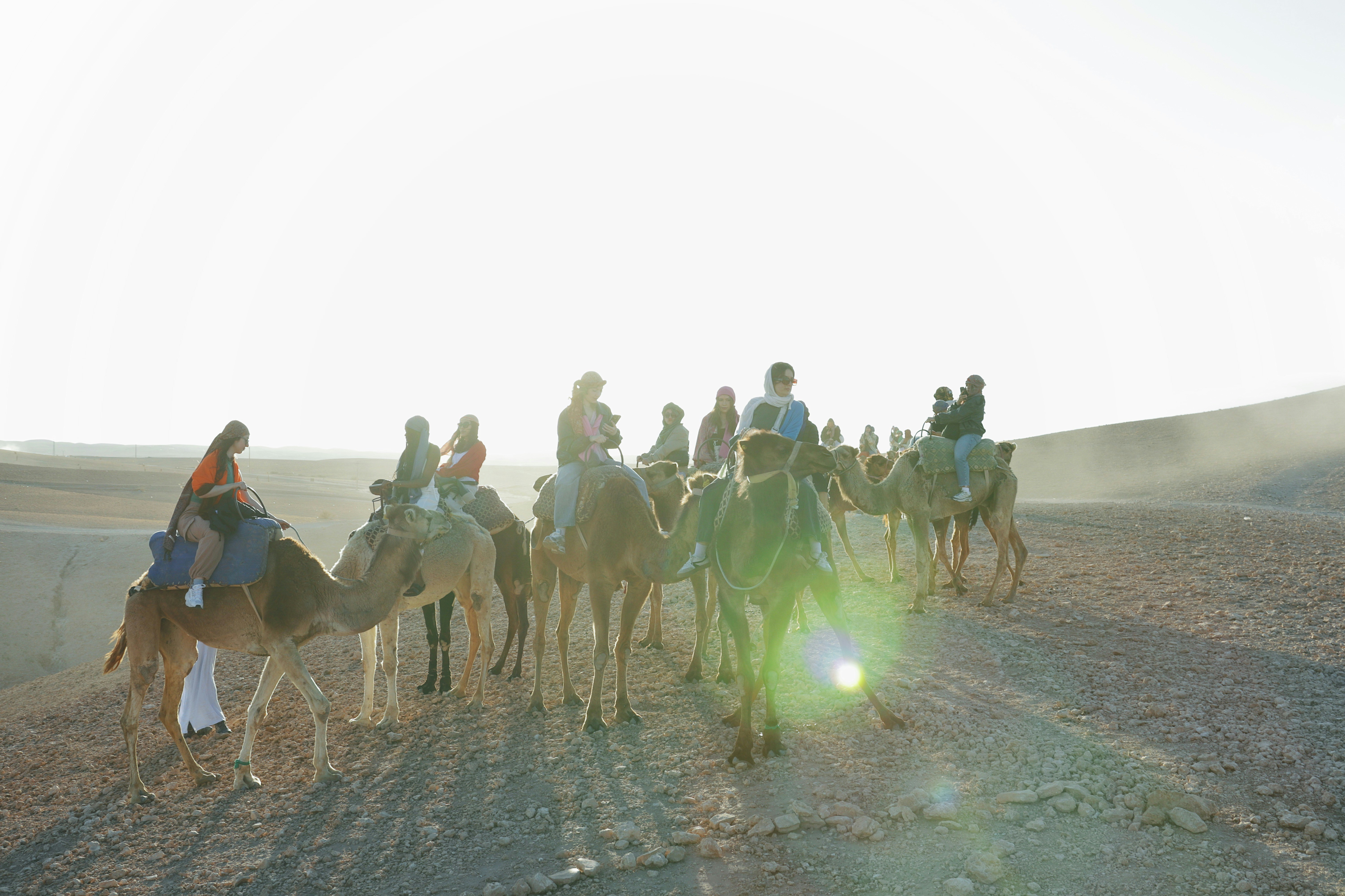 People ride camels through a sunny desert.