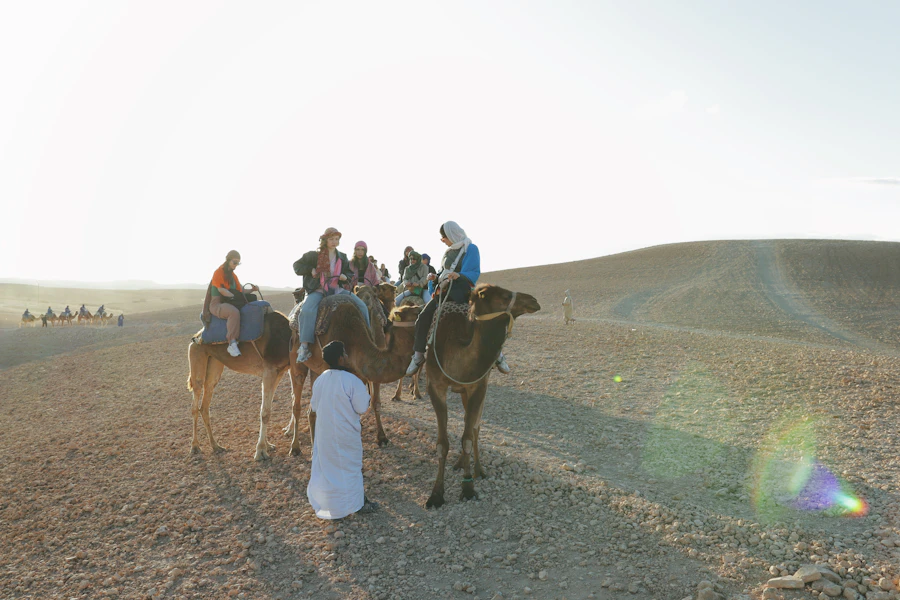 Camel riders in the Agafay desert