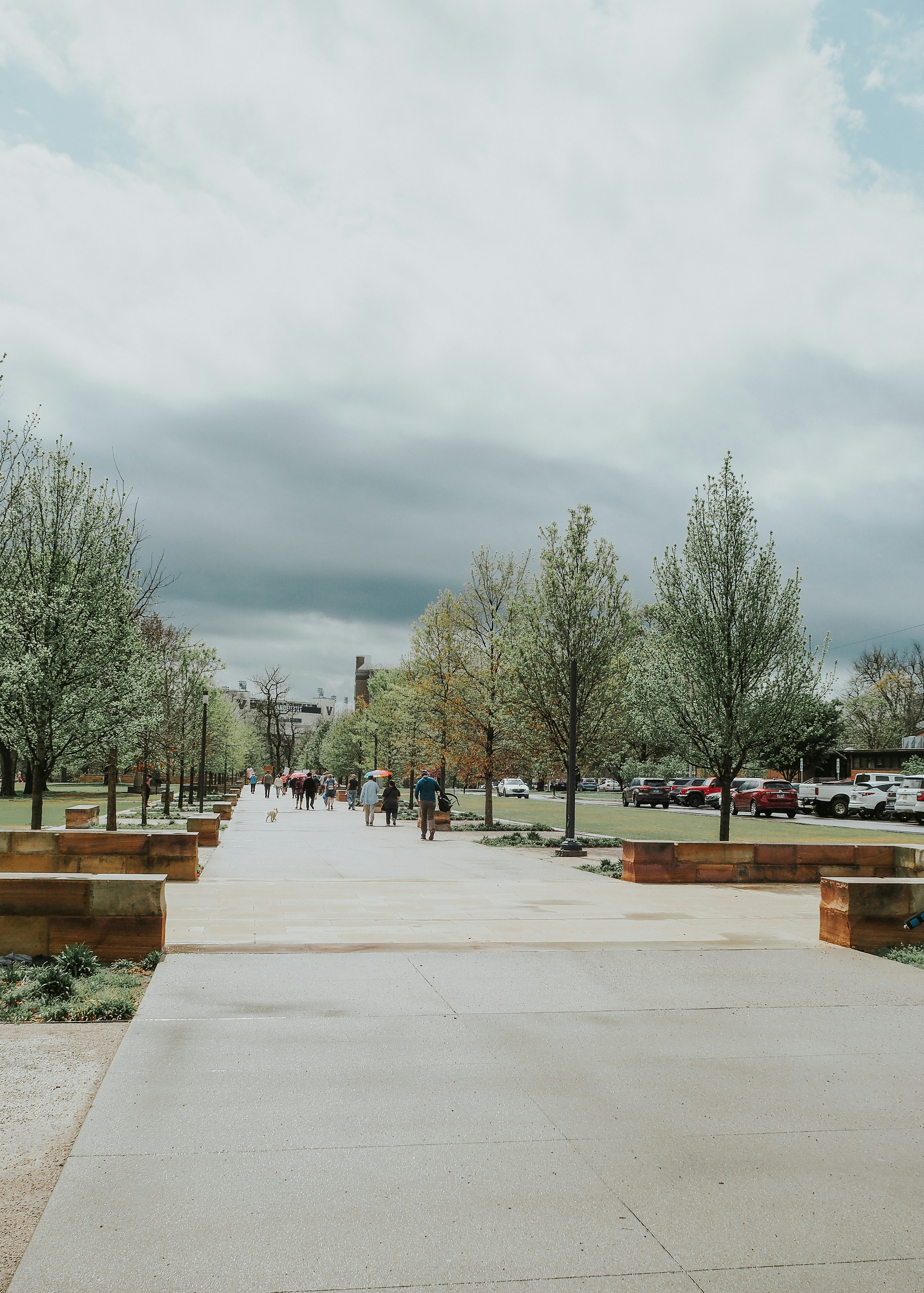 Photo by fieldworkframes