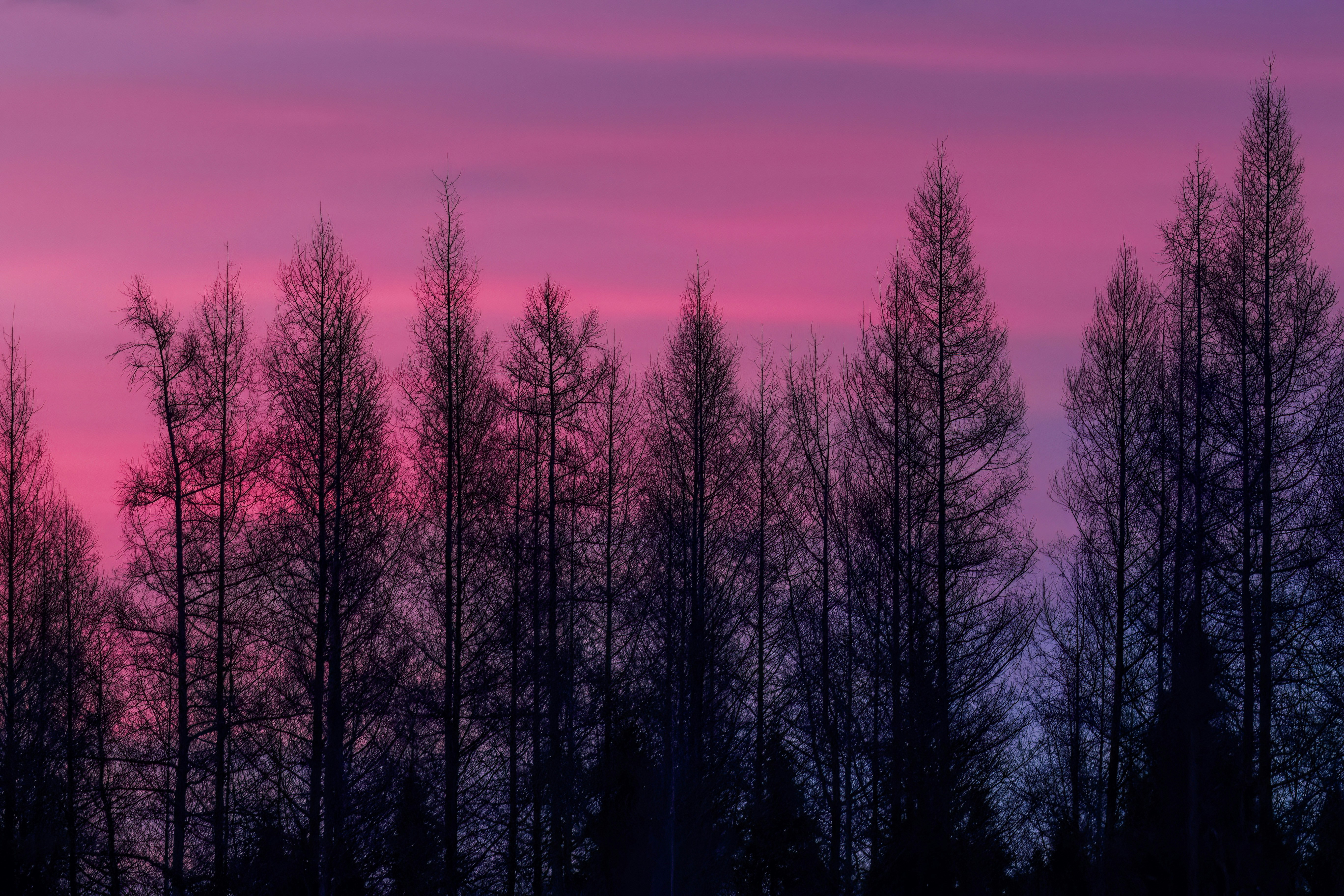 Photo by camerauthor