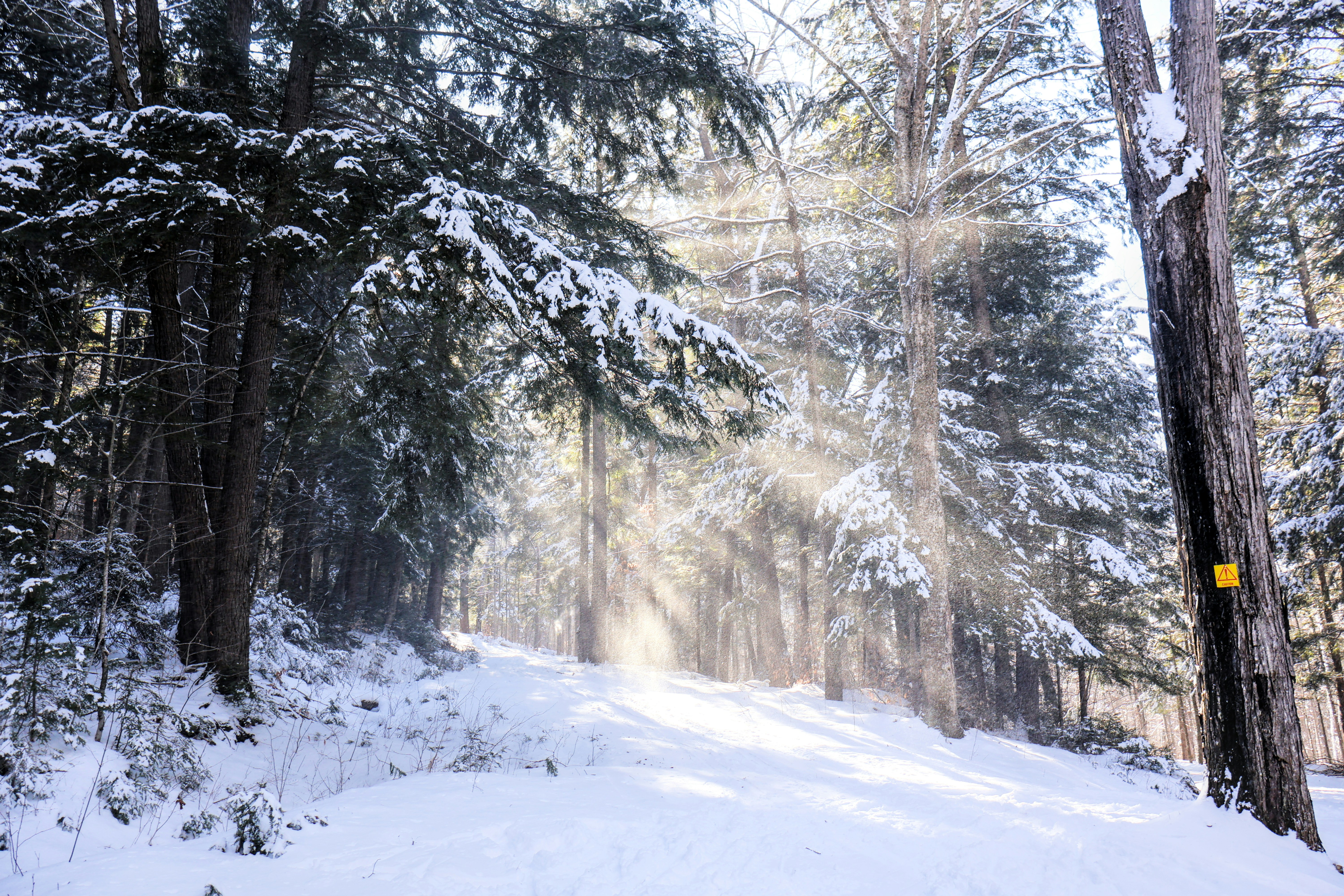 Photo by belanasaikiran