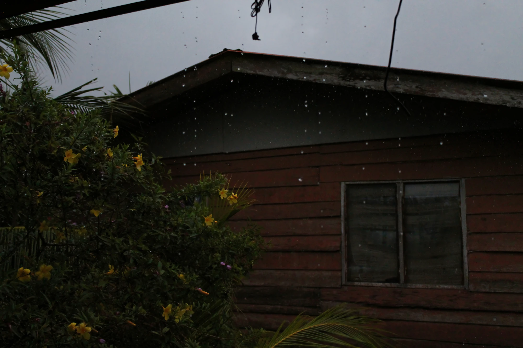 Rain falling in front of a home in Kuching, Sarawak