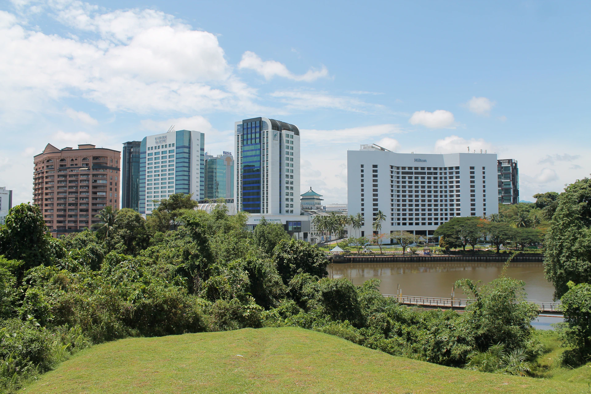 Skyscrapers stand tall behind lush, green trees
