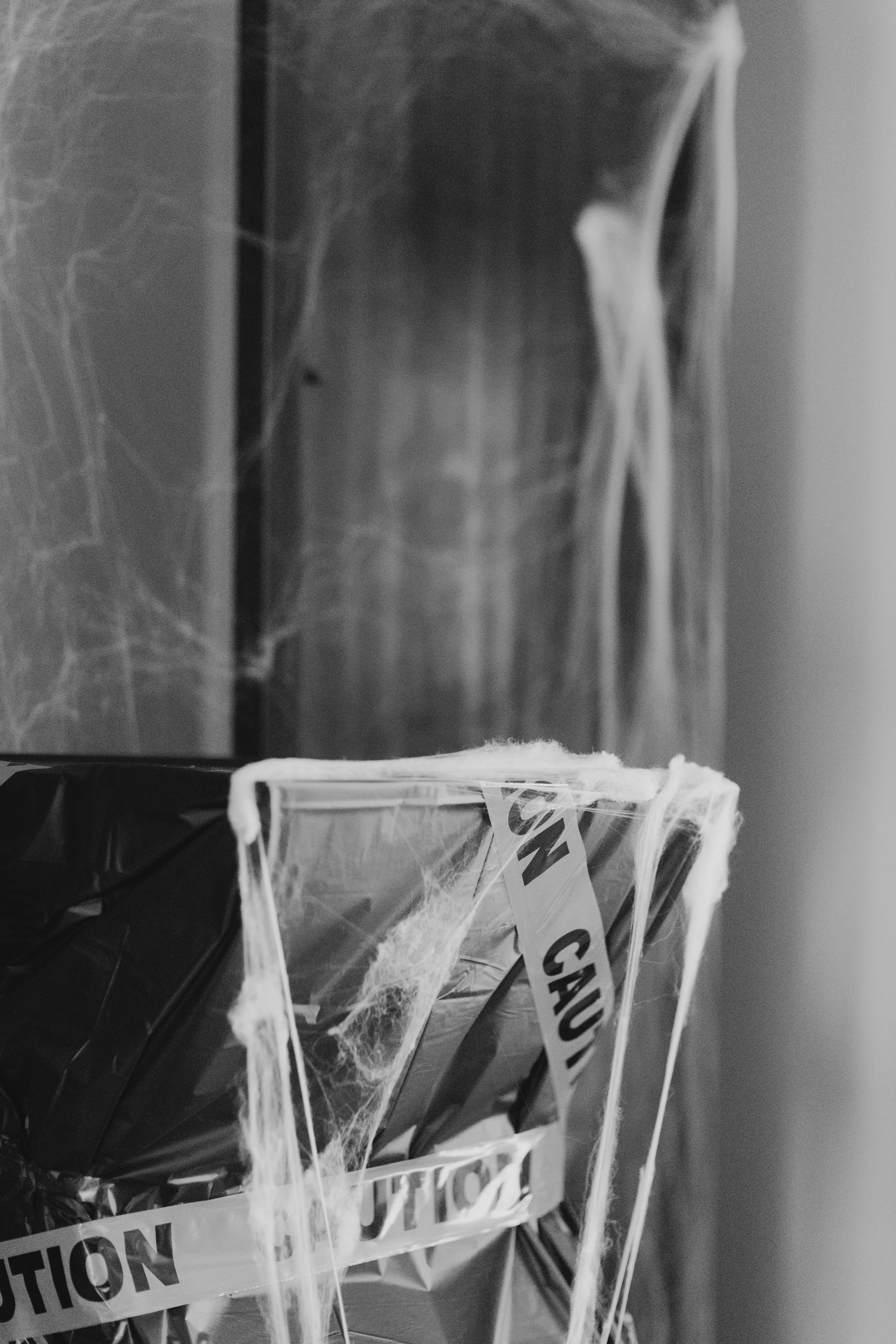 Photo by travisfishl