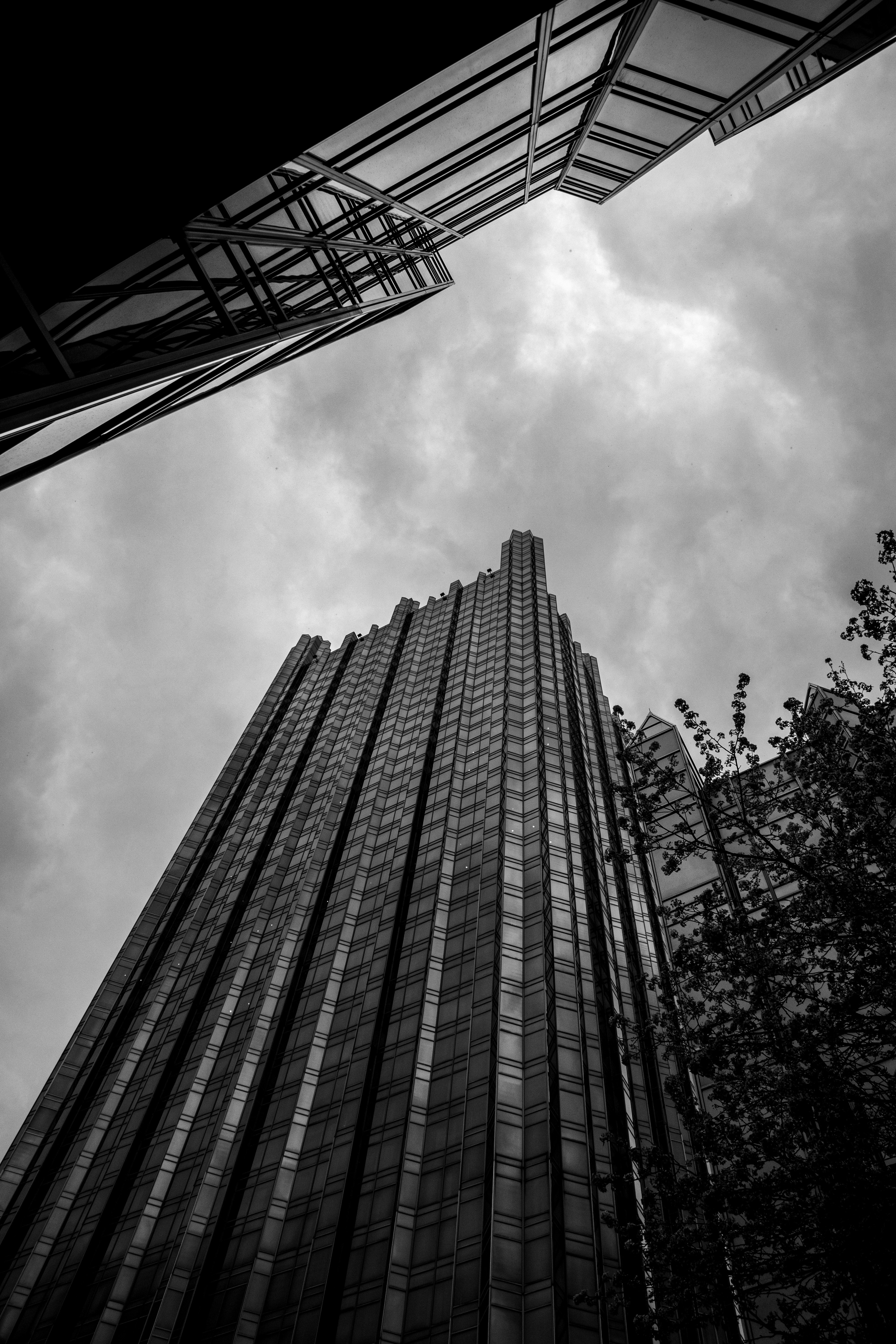 Photo by mausam_majhi