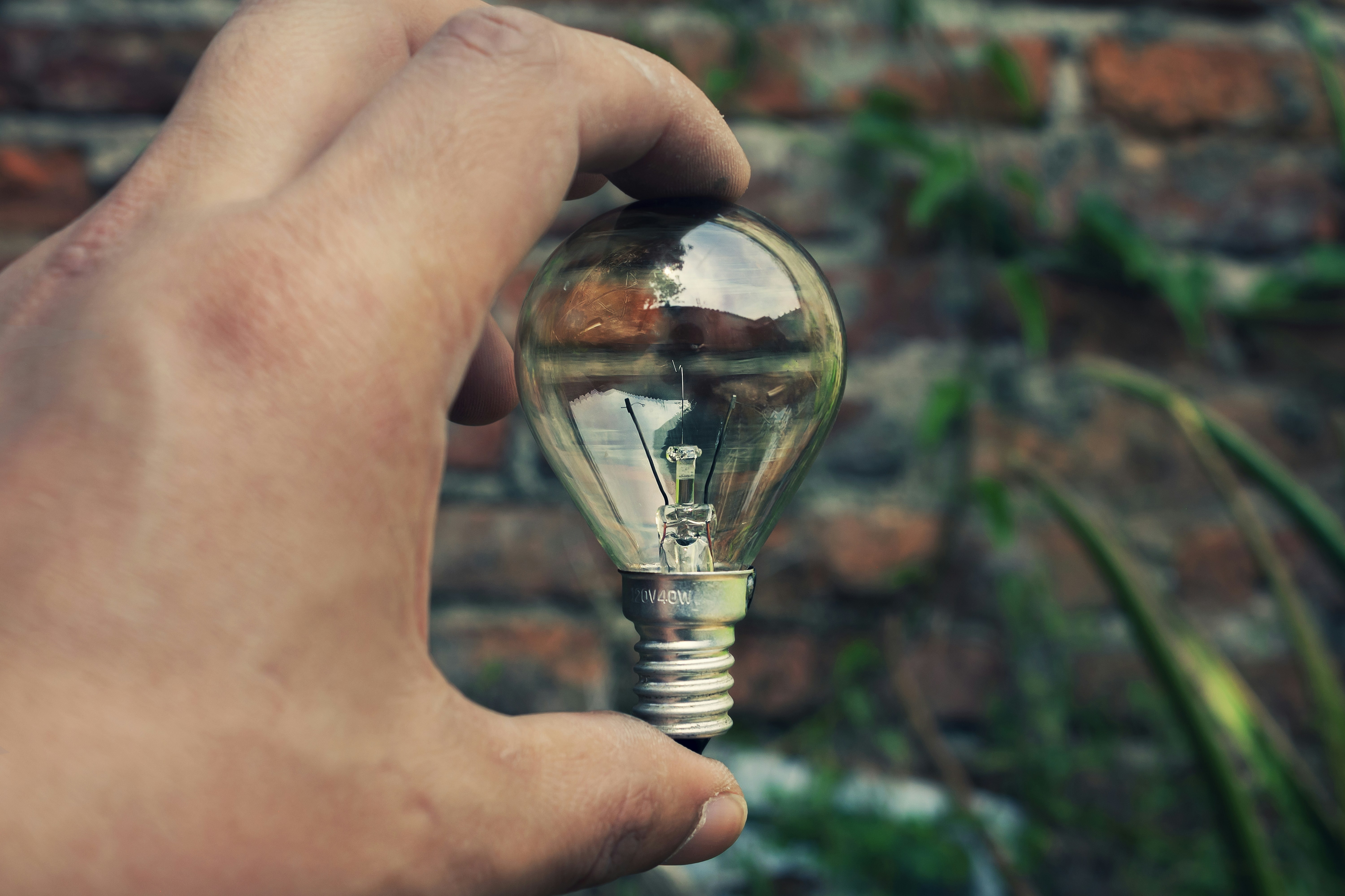 Hand holding a lightbulb against a natural background.