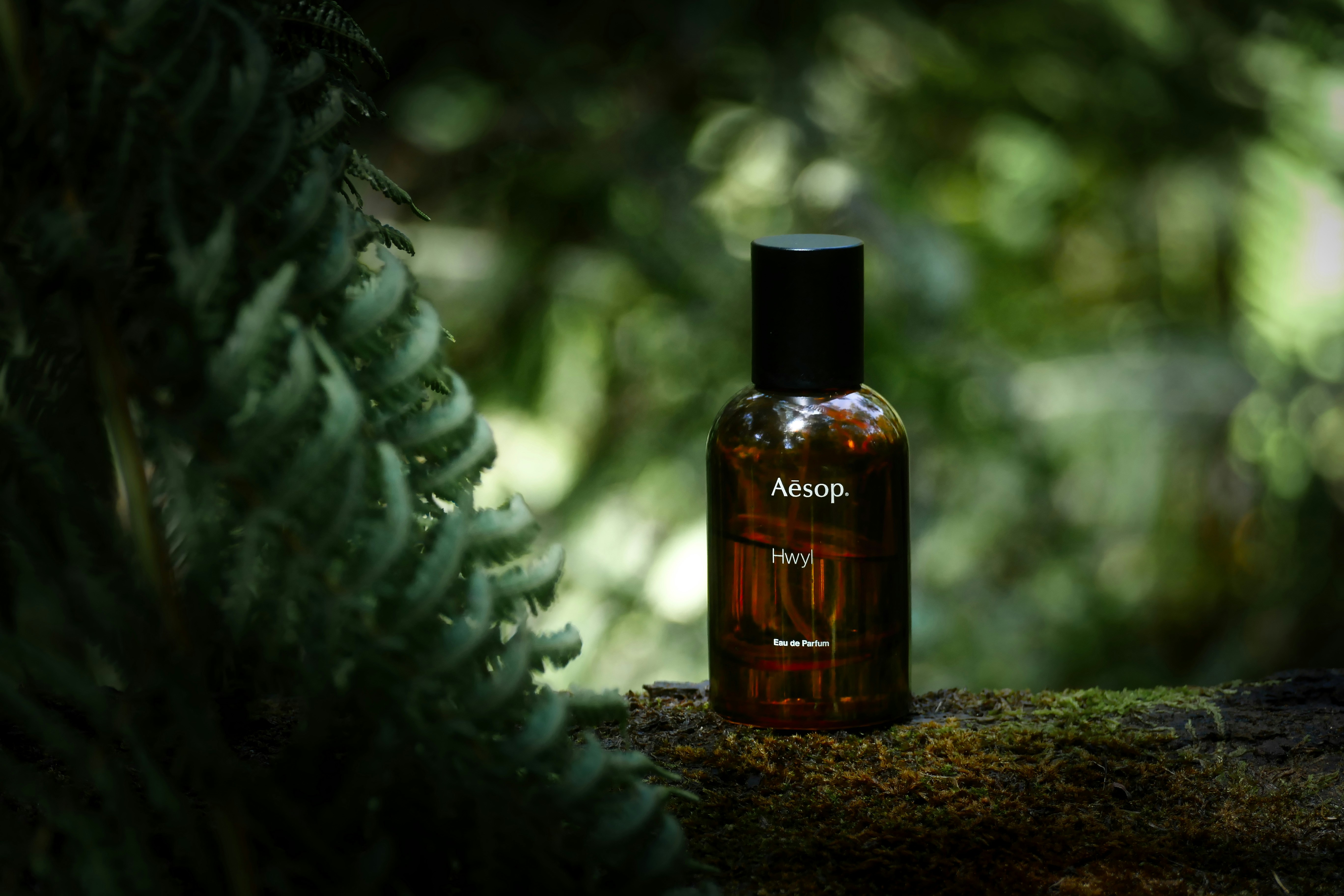 Aesop Product Photoshoot – Perfume Bottle on Forest Log with Natural Light
