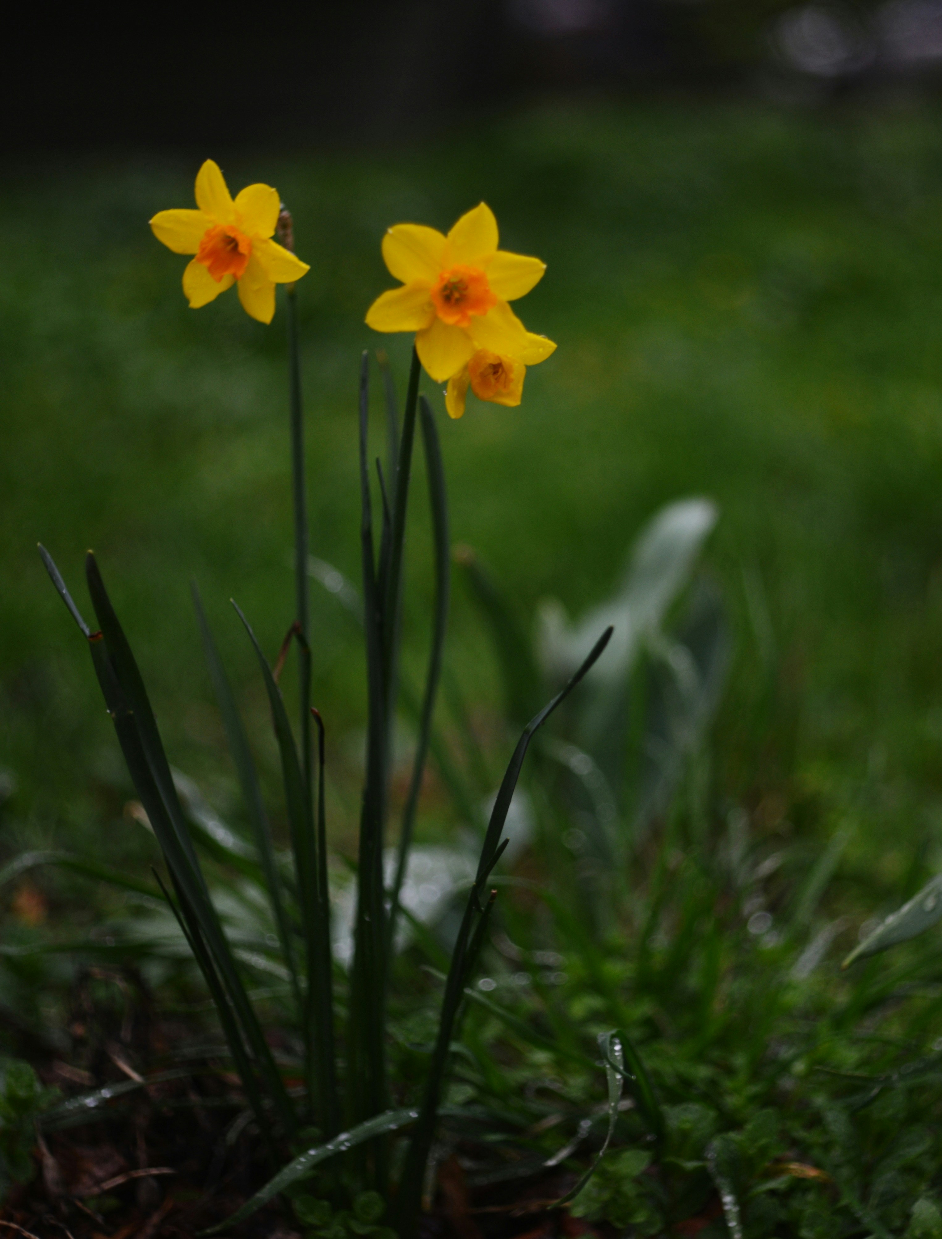 Photo by cherstve_pechivo