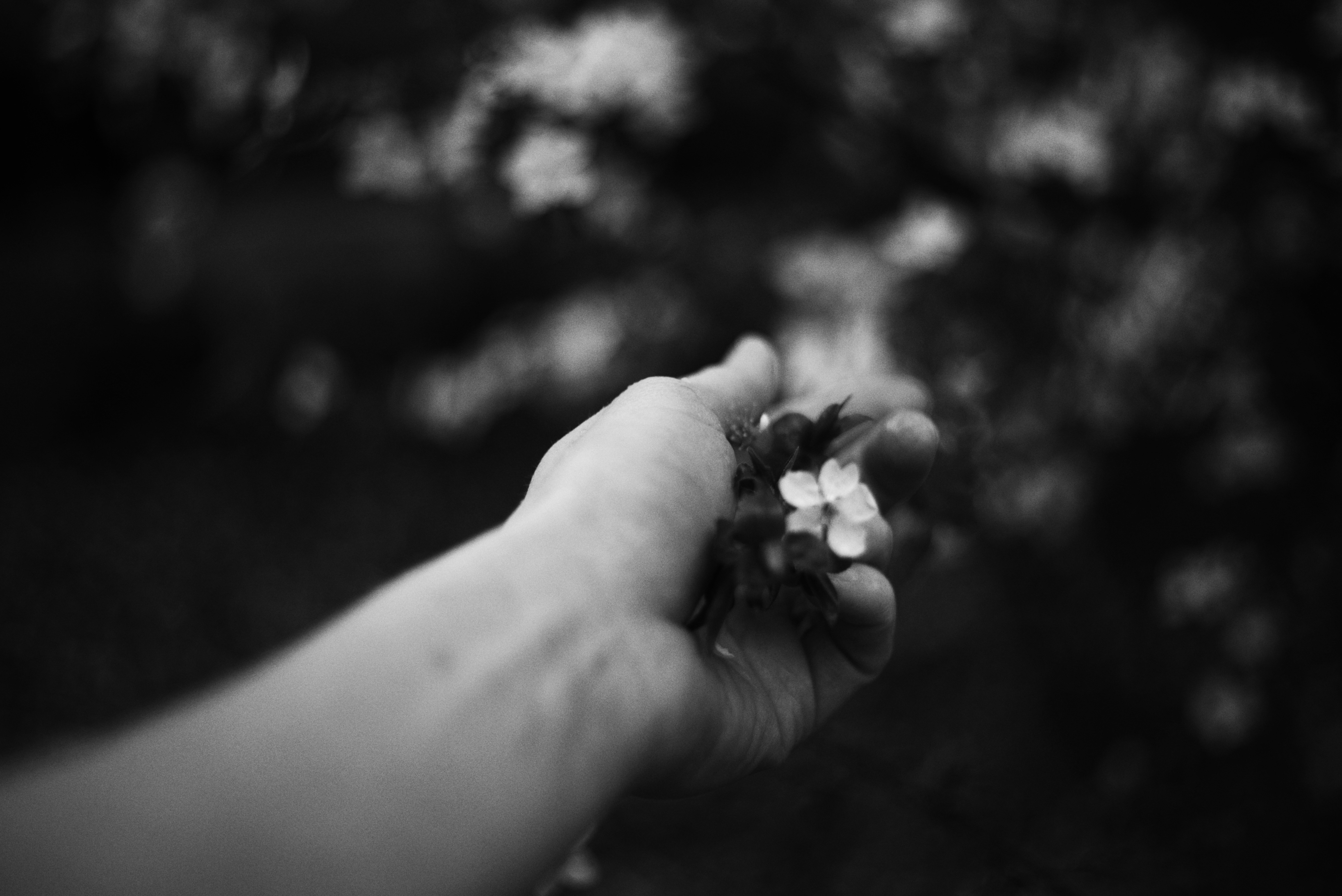 Photo by cherstve_pechivo