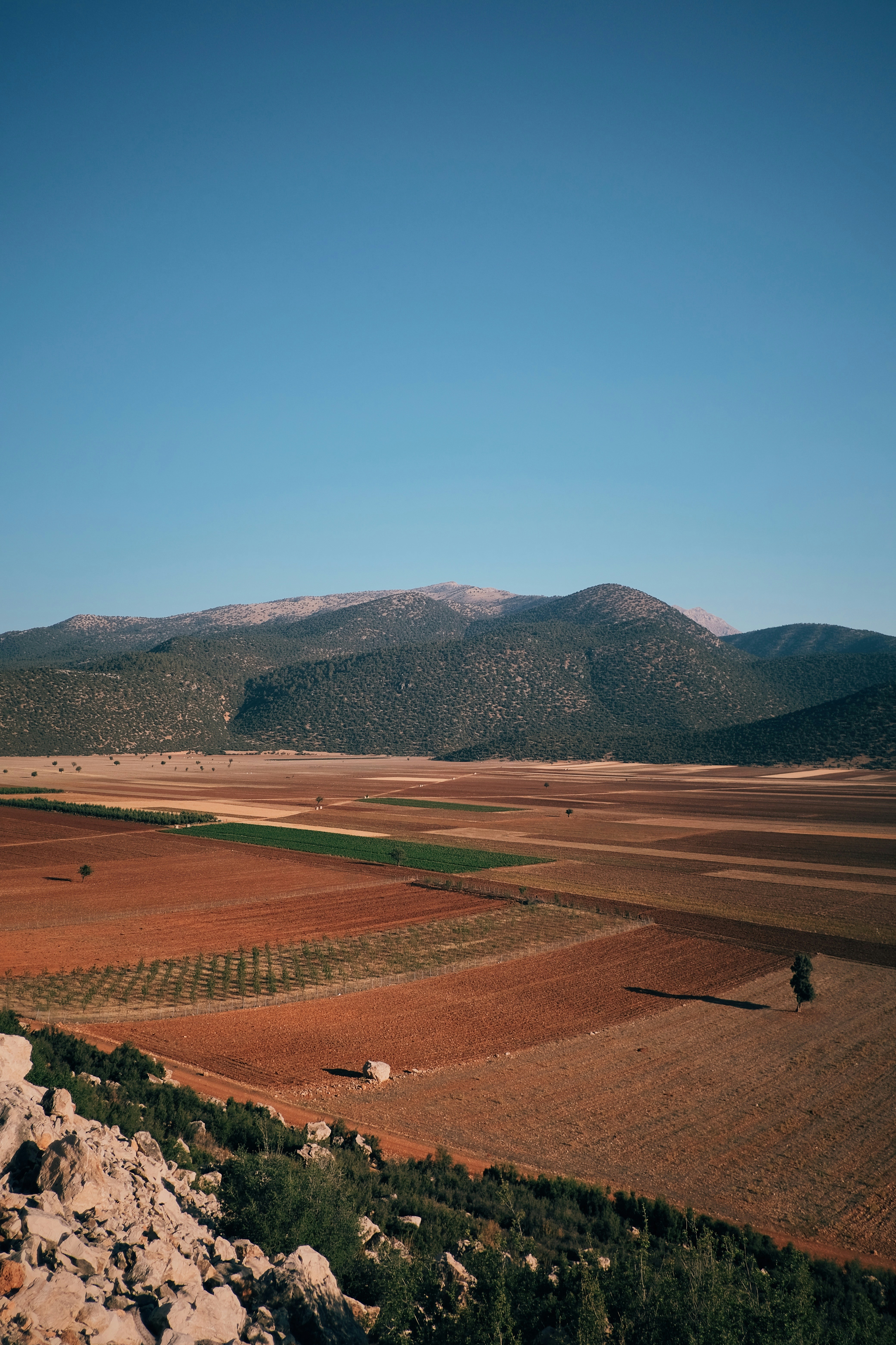 A wide, colorful landscape with mountains.