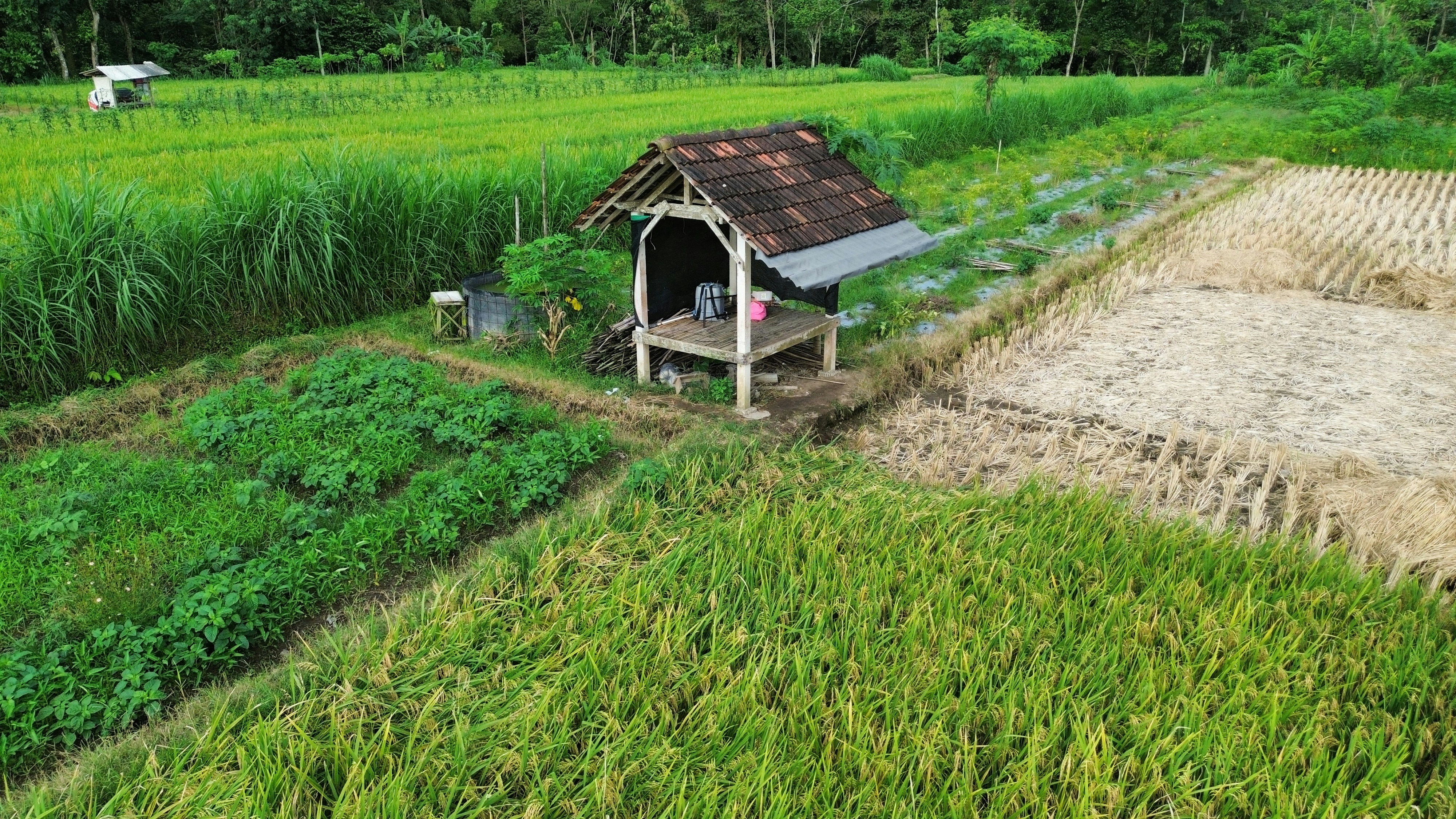 Photo by muhammadmaruff_