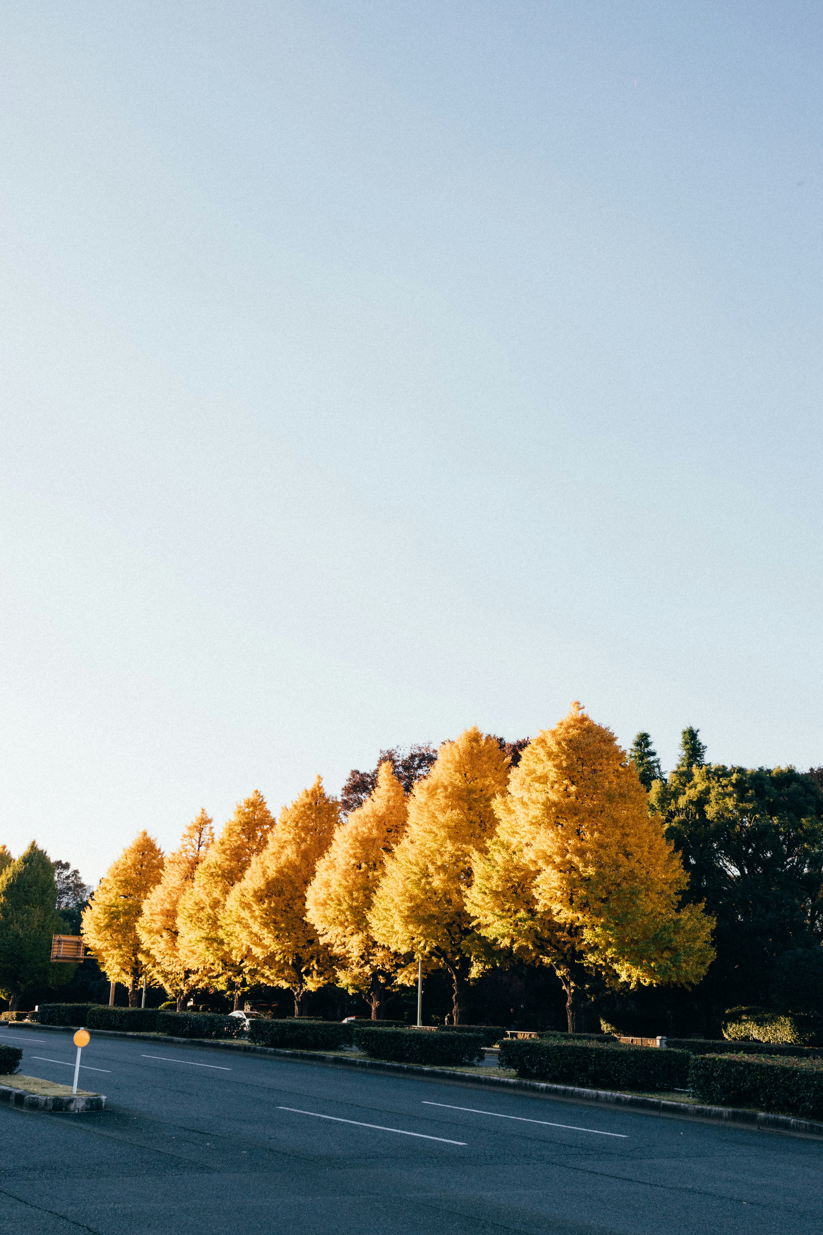 Photo by tsuyoshikozu