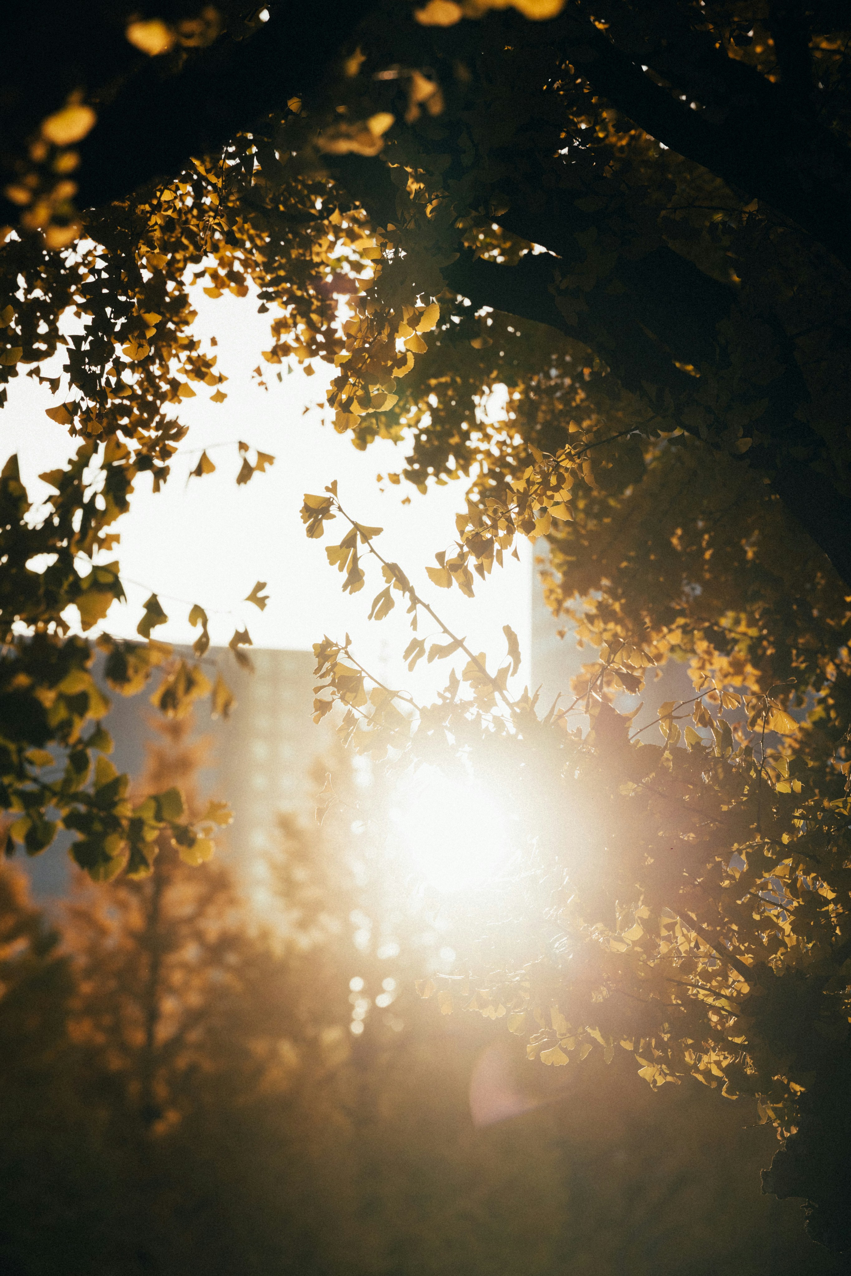 Photo by tsuyoshikozu