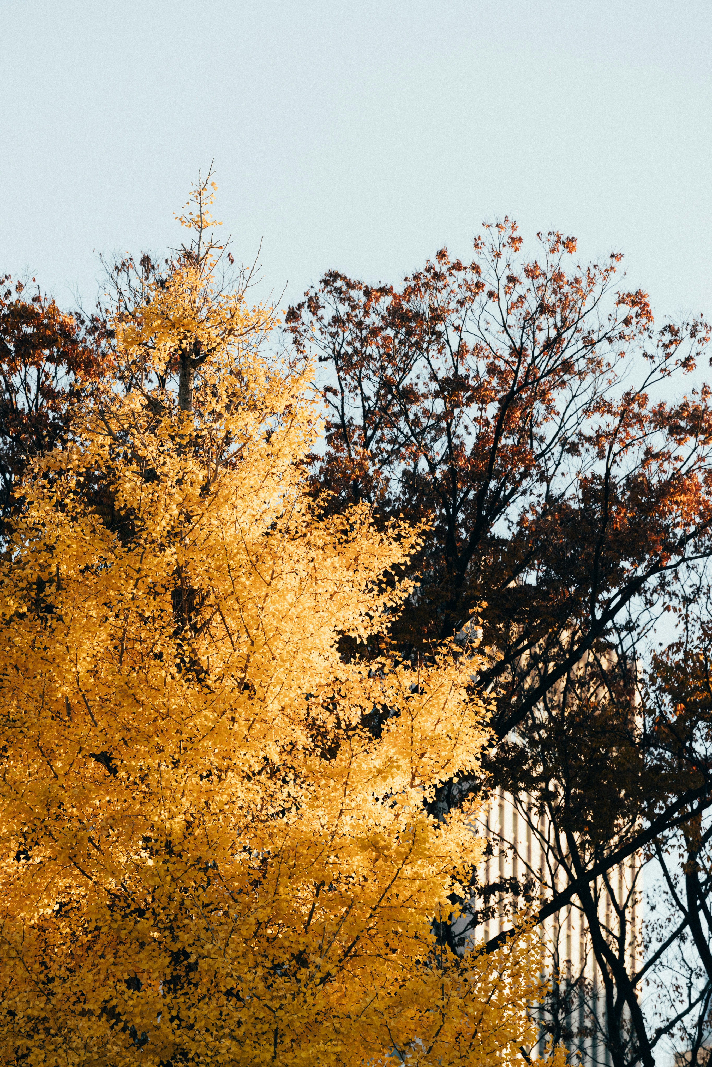 Photo by tsuyoshikozu