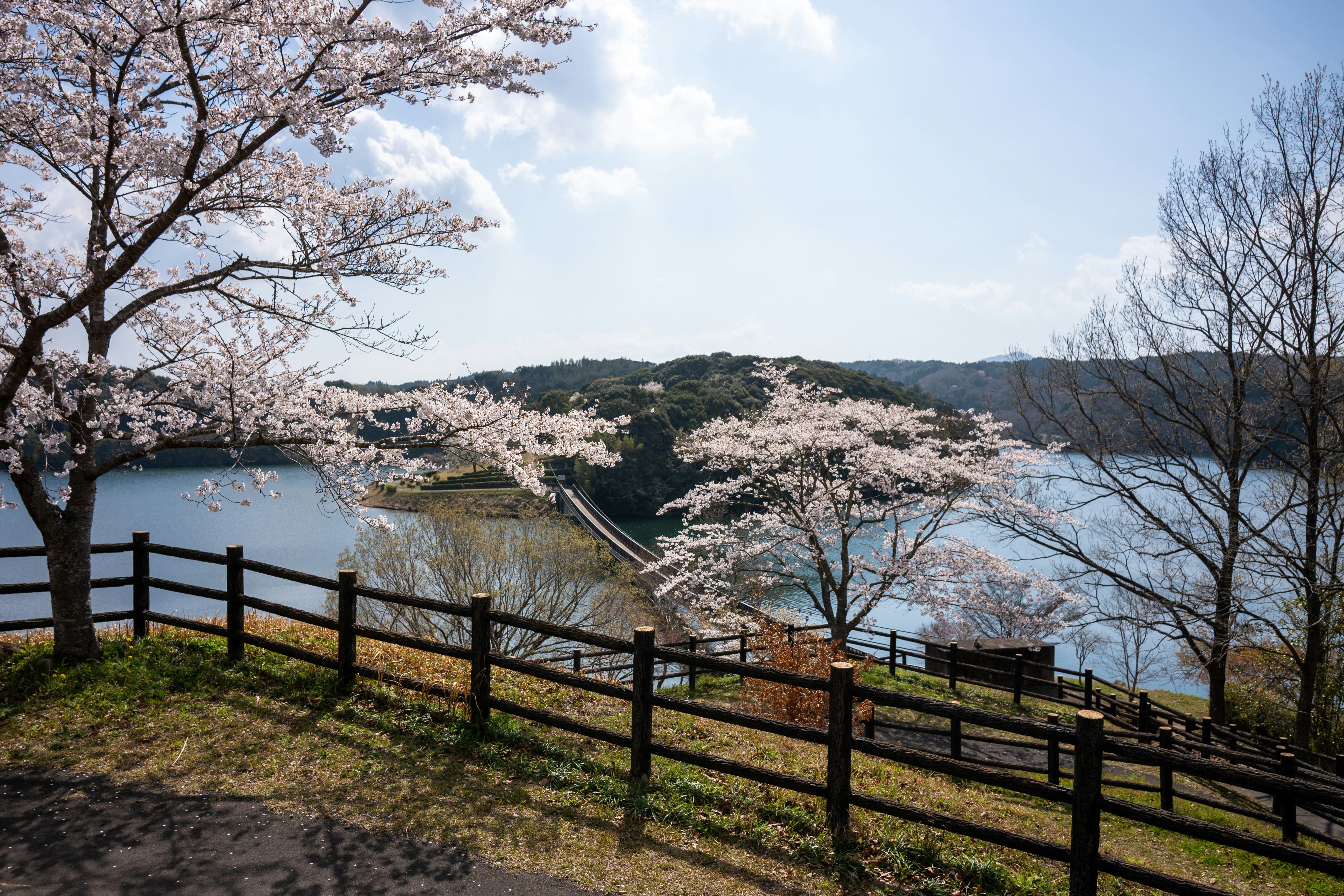 Fukushima: Beyond the Headlines, A Journey of Resilience & Beauty