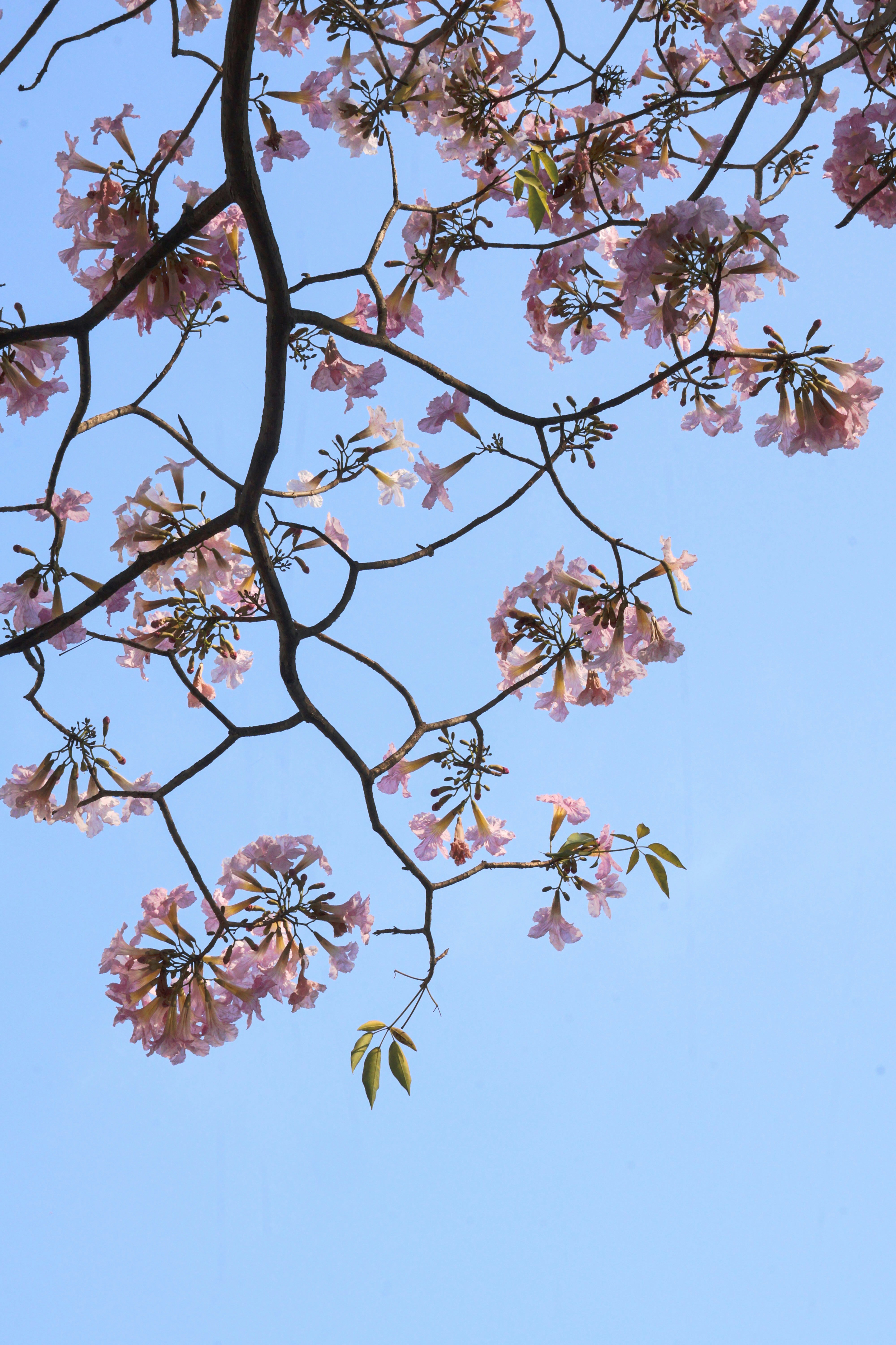 Photo by lekhashri_1820